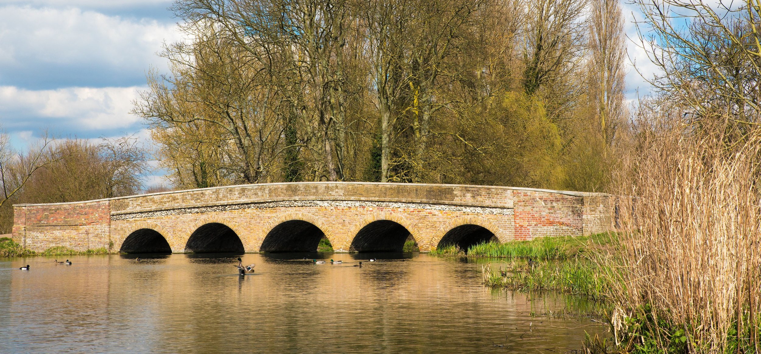 Modern Rental Apartments Sidcup