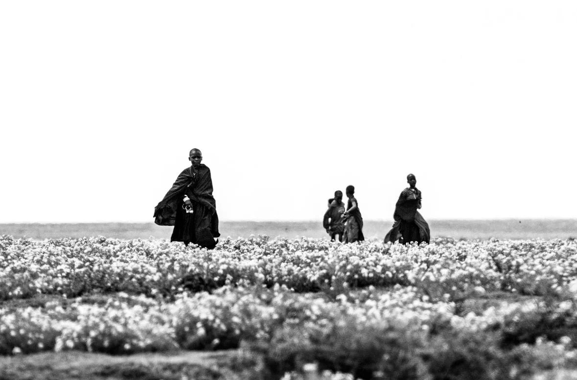 Masai II LowRes.jpg