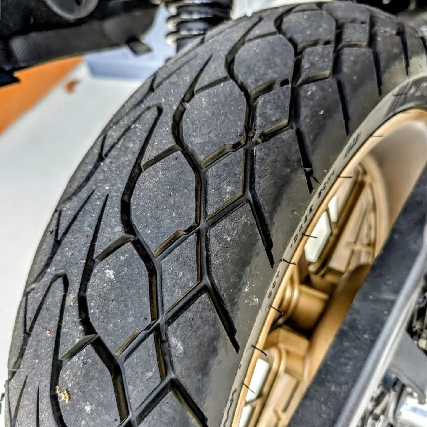 GLaDOS is really feeling herself these days. Next on the list is new grips!
#triumphscrambler #triumph #charlotte #goldwheels