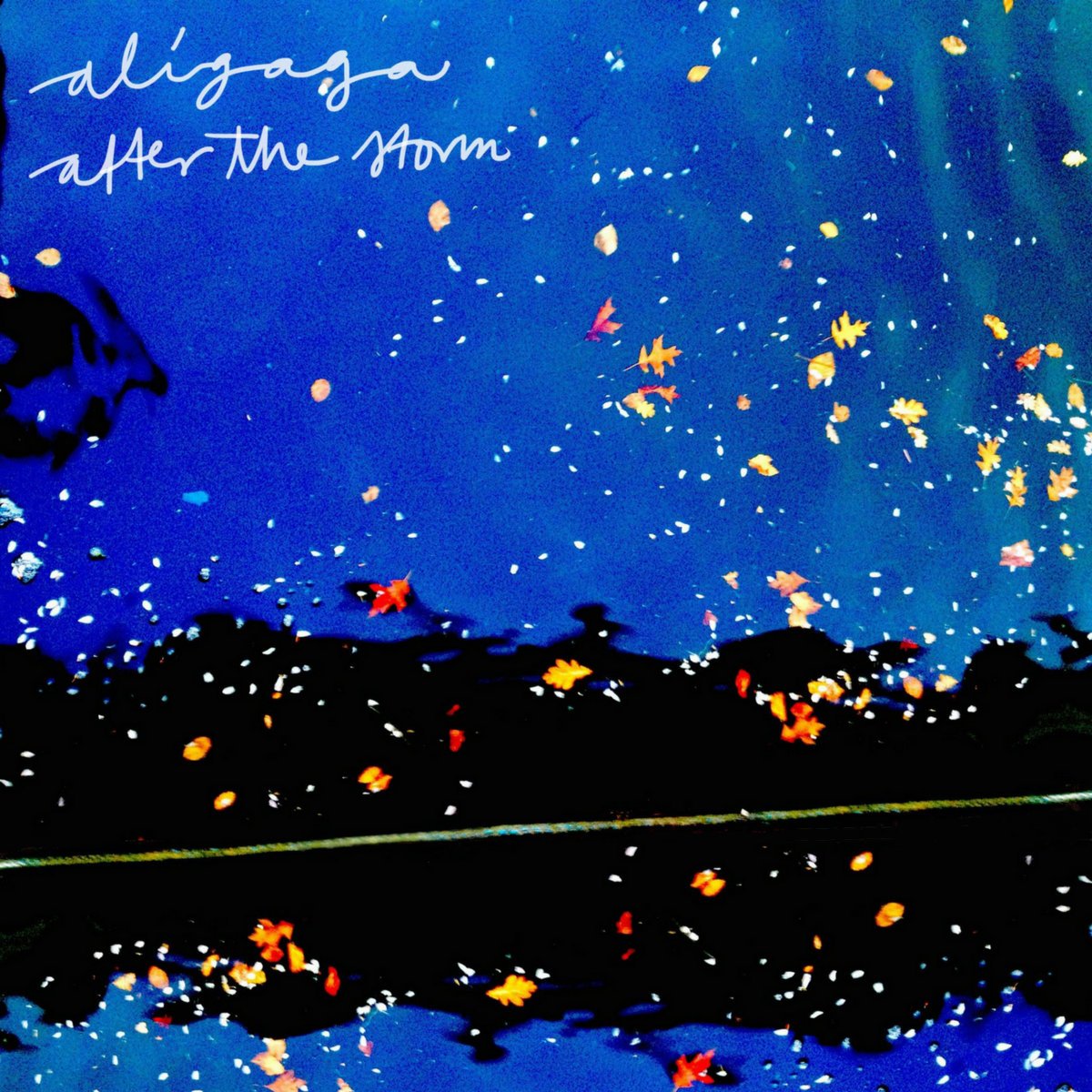 Aligaga -  After the Storm