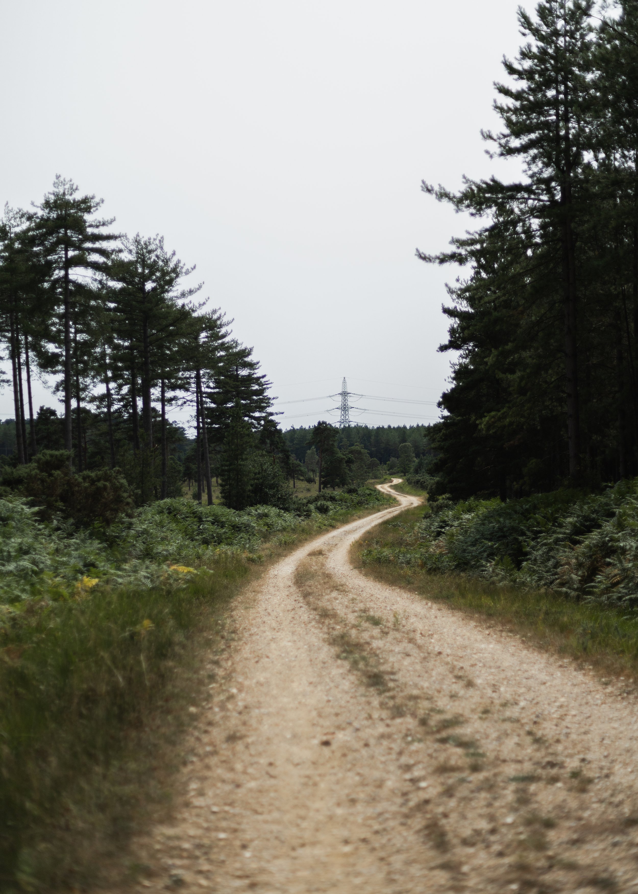 Wareham-Forest-Circular-21-July-2026-92.jpg