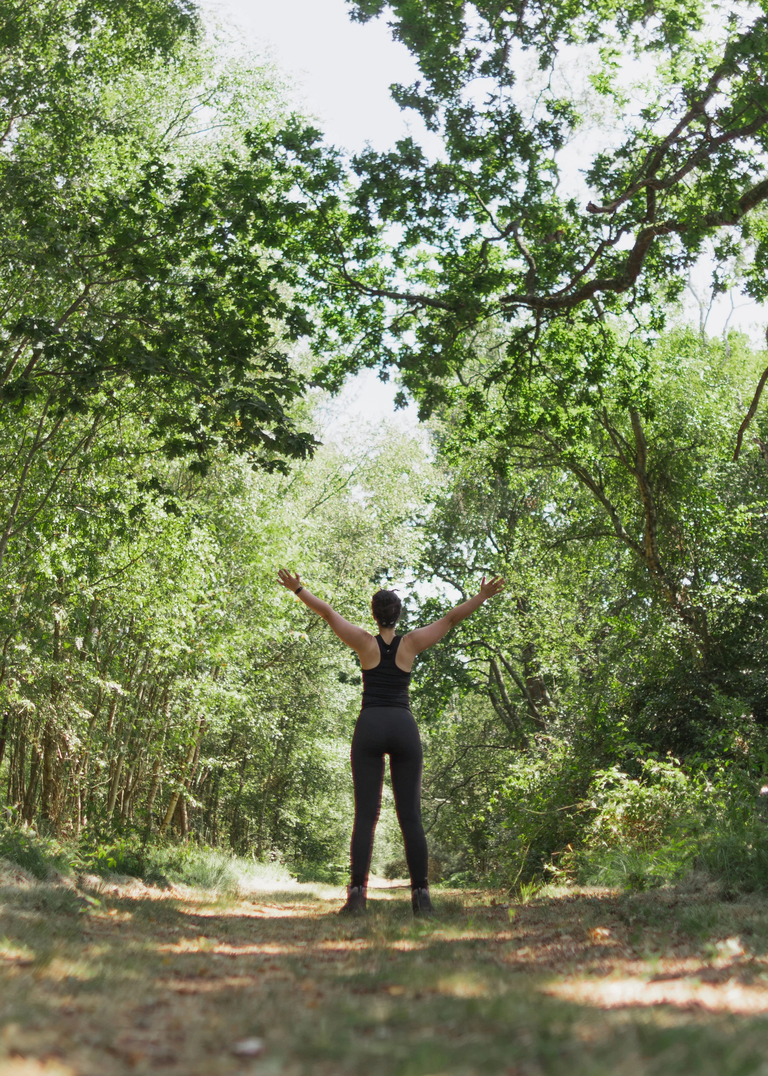 Wareham-Forest-July-2026-1.jpg