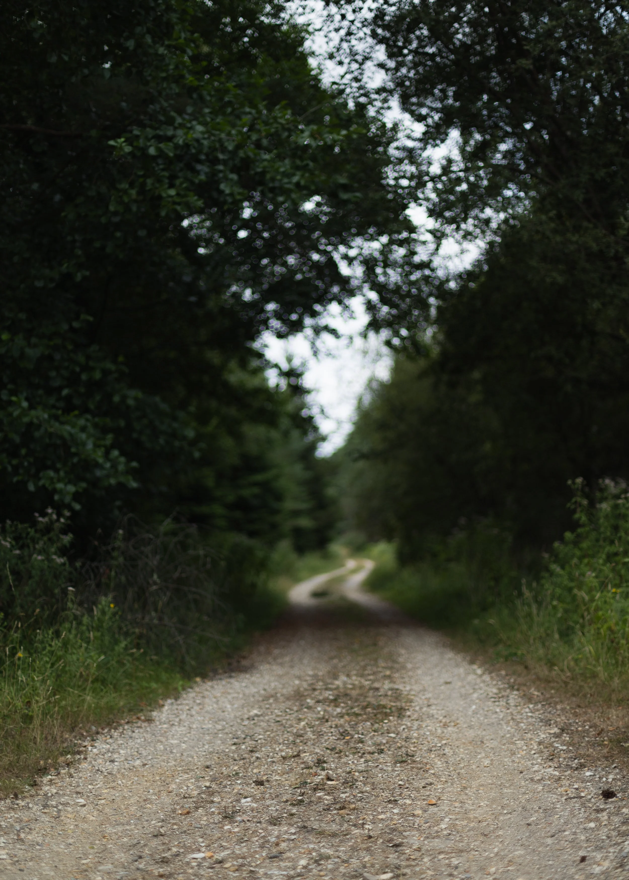 Wareham-Forest-Circular-21-July-2026-56.jpg