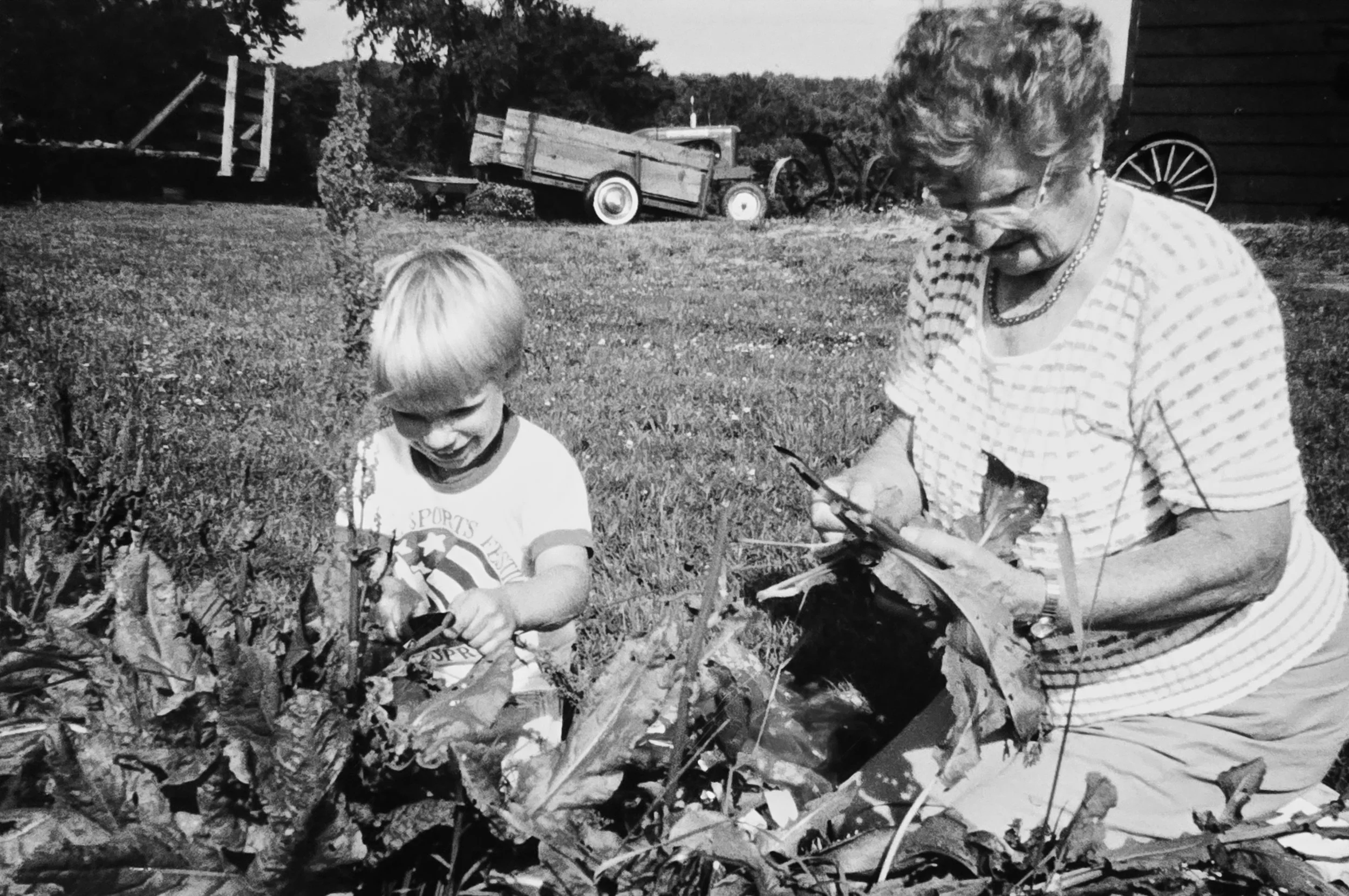 A young boy and an older woman are outside in a garden or farm, picking vegetables or plants from the ground. There are trees, a tractor, a wagon, and a barn in the background.