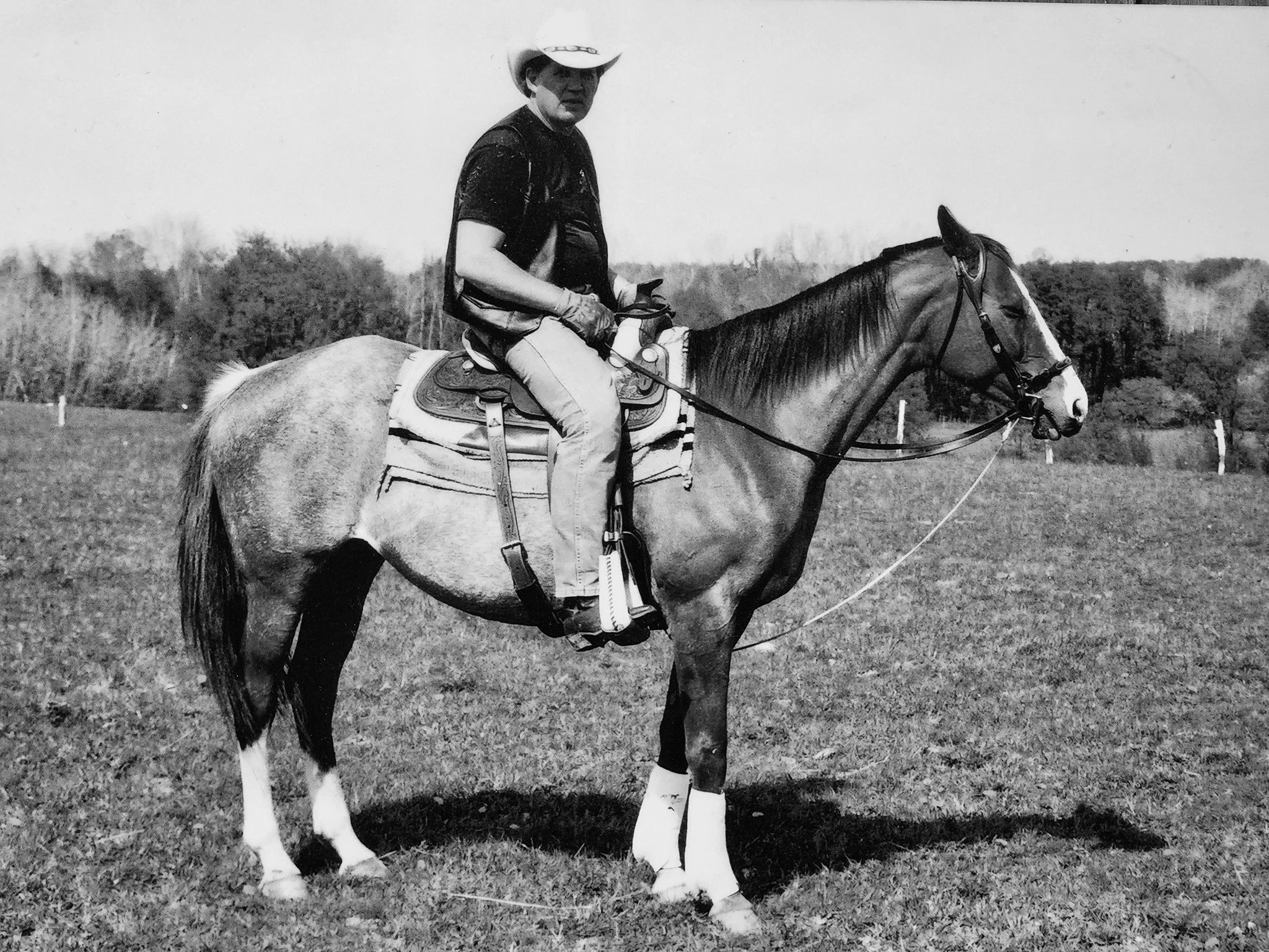 A person riding a horse on a grassy field. The rider is wearing a cowboy hat, a T-shirt, jeans, and gloves, and is holding the reins. The horse is light-colored with dark mane and tail, and is equipped with a saddle and stirrups. The background shows trees and an open sky.