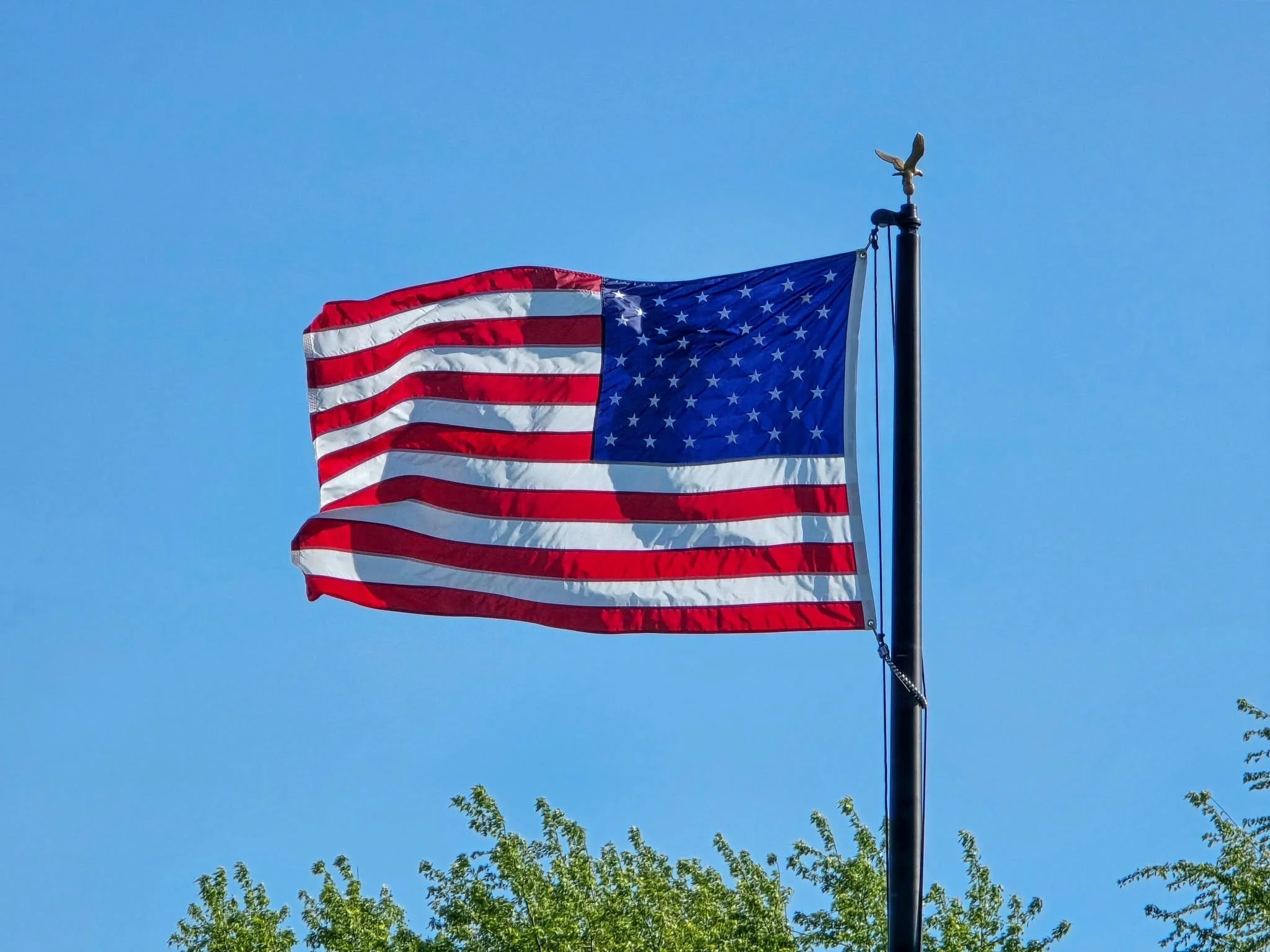 American flag flying on a flagpole against a clear blue sky, with tree branches visible at the bottom of the image.