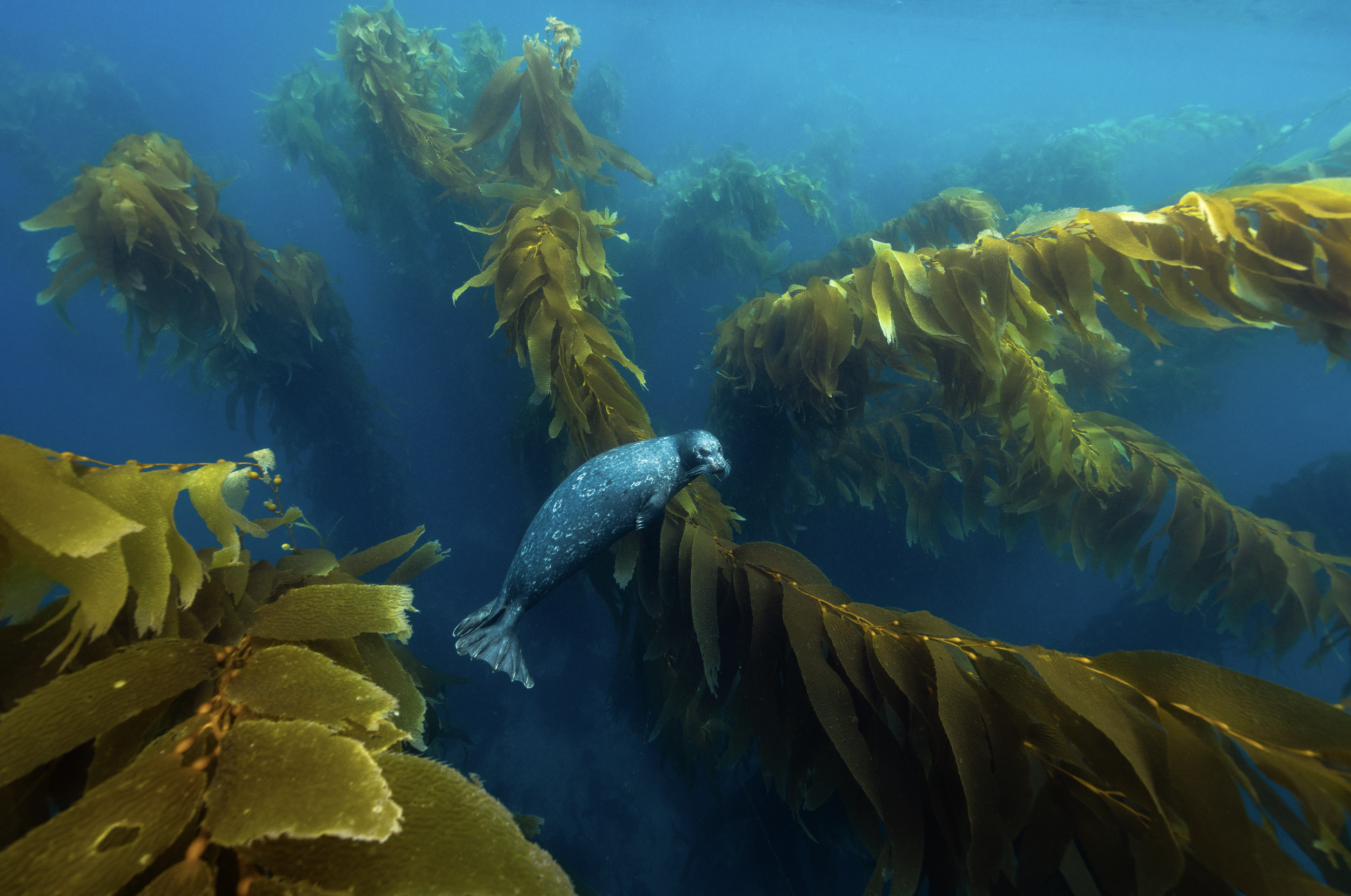 Screenshot 2025-10-01 at 11.03.14 AM.png