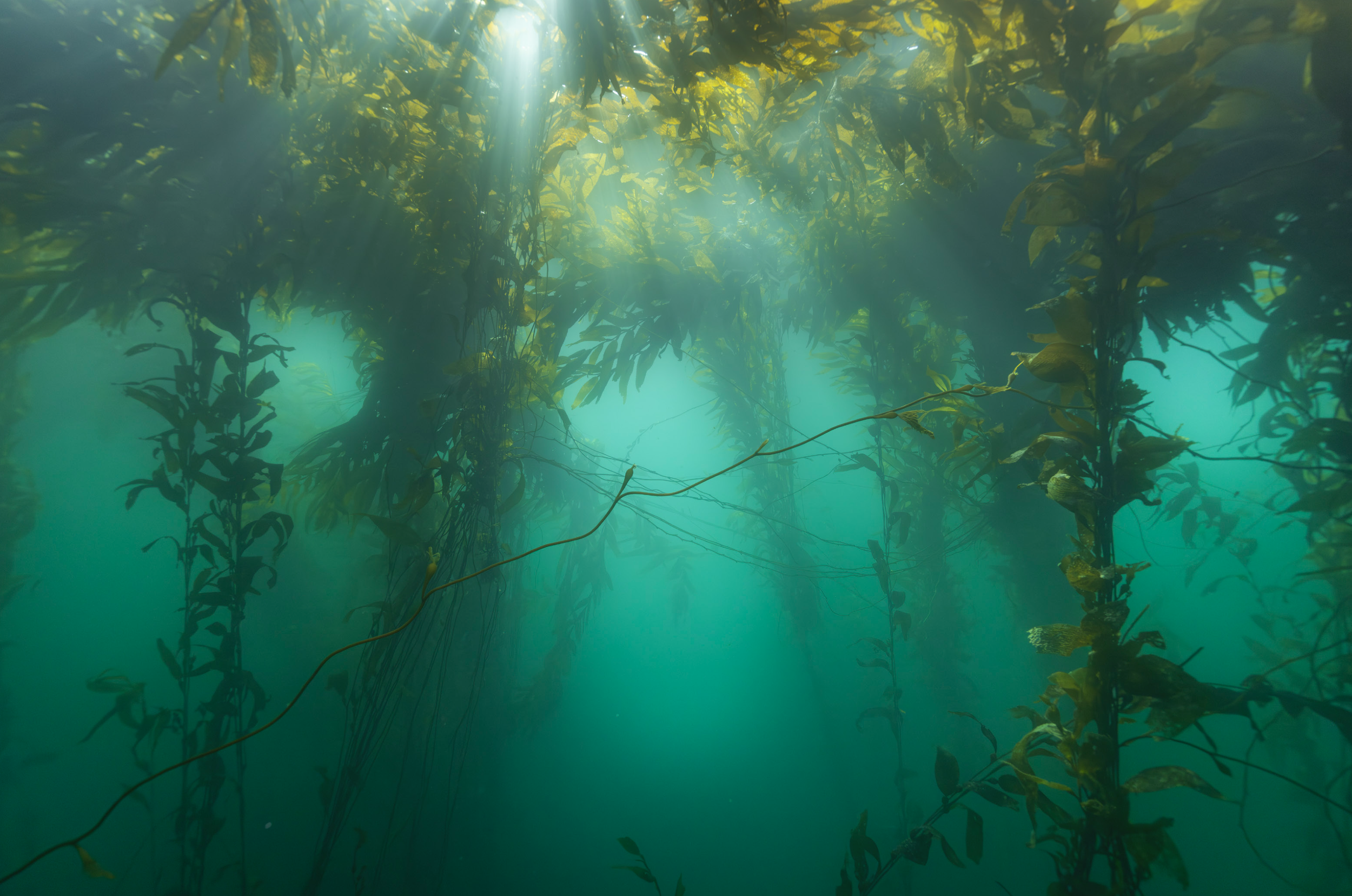 Screenshot 2025-06-05 at 11.22.59 AM.png