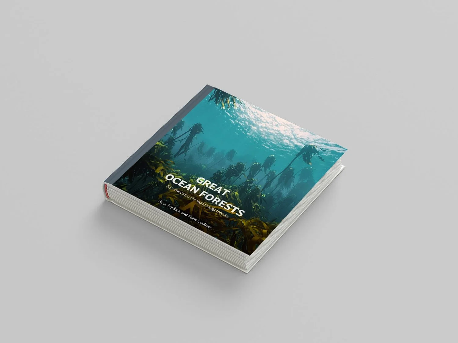 Square-Hardcover-Book-Free-Mockup-01-1-Recovered.jpg