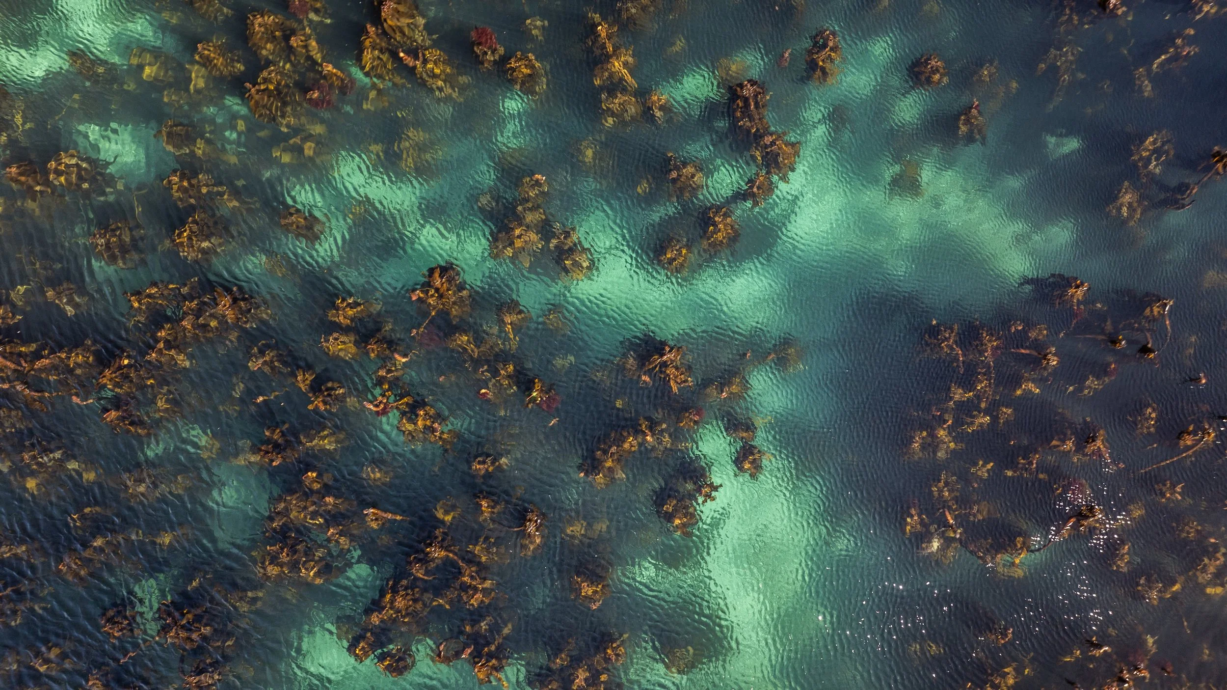 DJI_0478.jpg