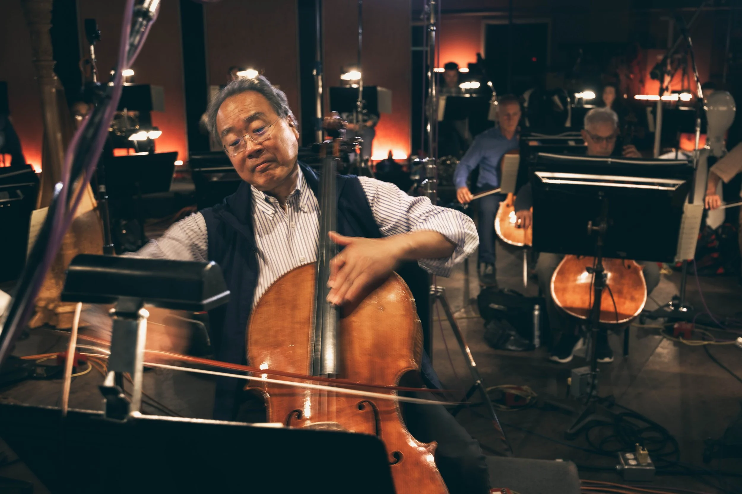 GREAT OCEAN FORESTS_P2A9757-2.jpeg