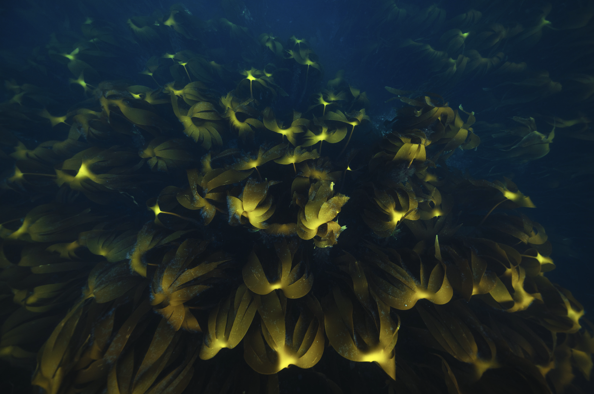 Screenshot 2025-06-05 at 11.06.53 AM.png