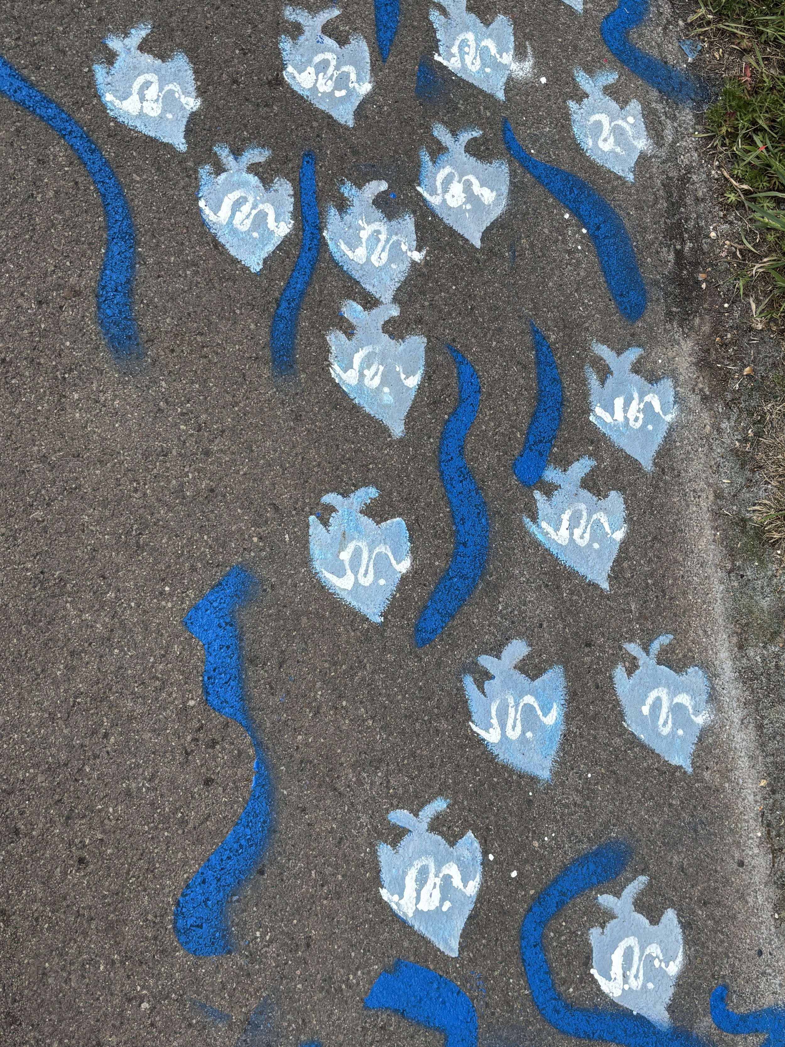  A painted school of small blue fish in the pavement wiggling along with darker blue painted waves