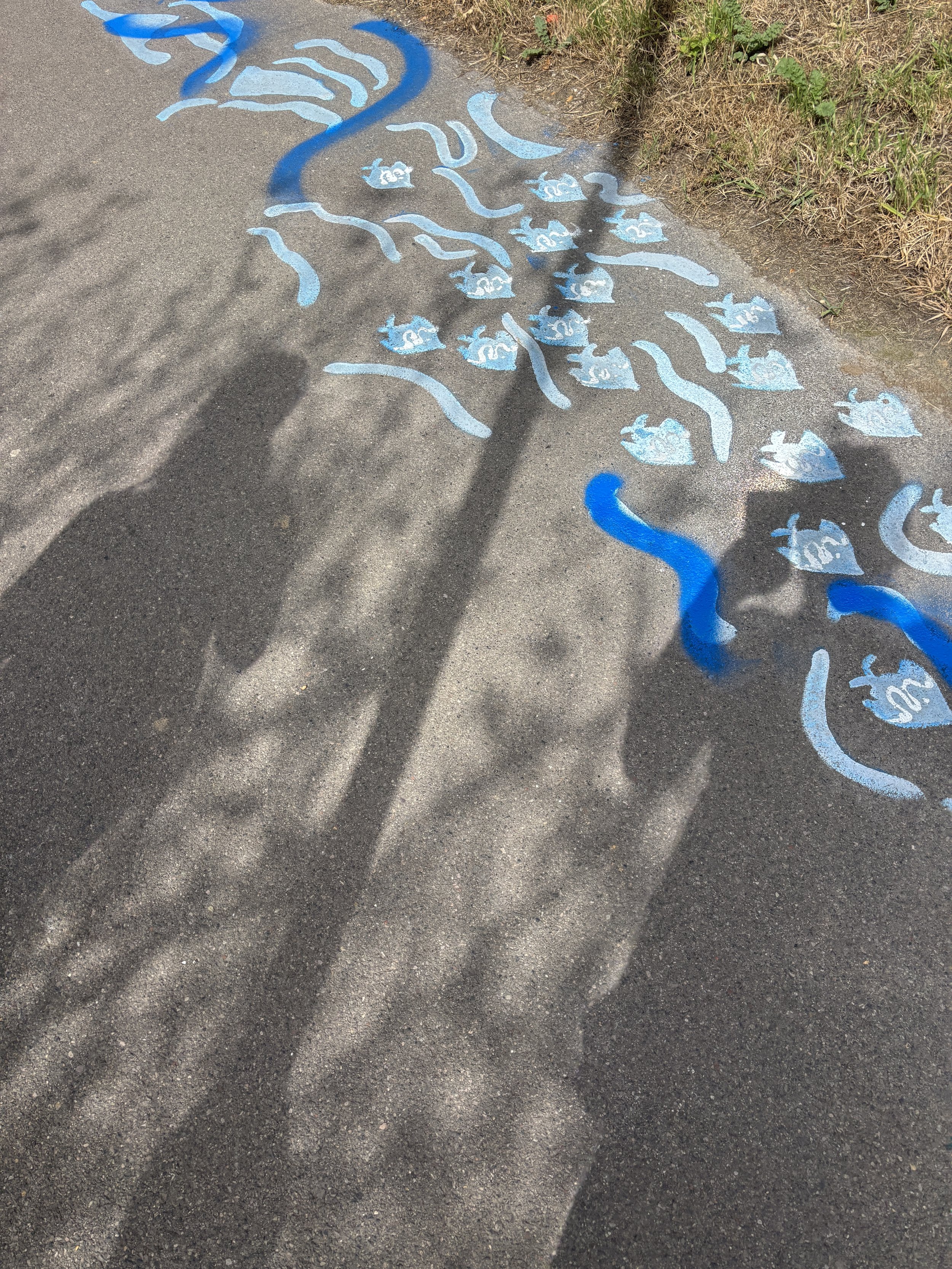  stencil sheets of flowers with residue paint where they have been used and placed on the floor outside with a shadow of a person looking at them