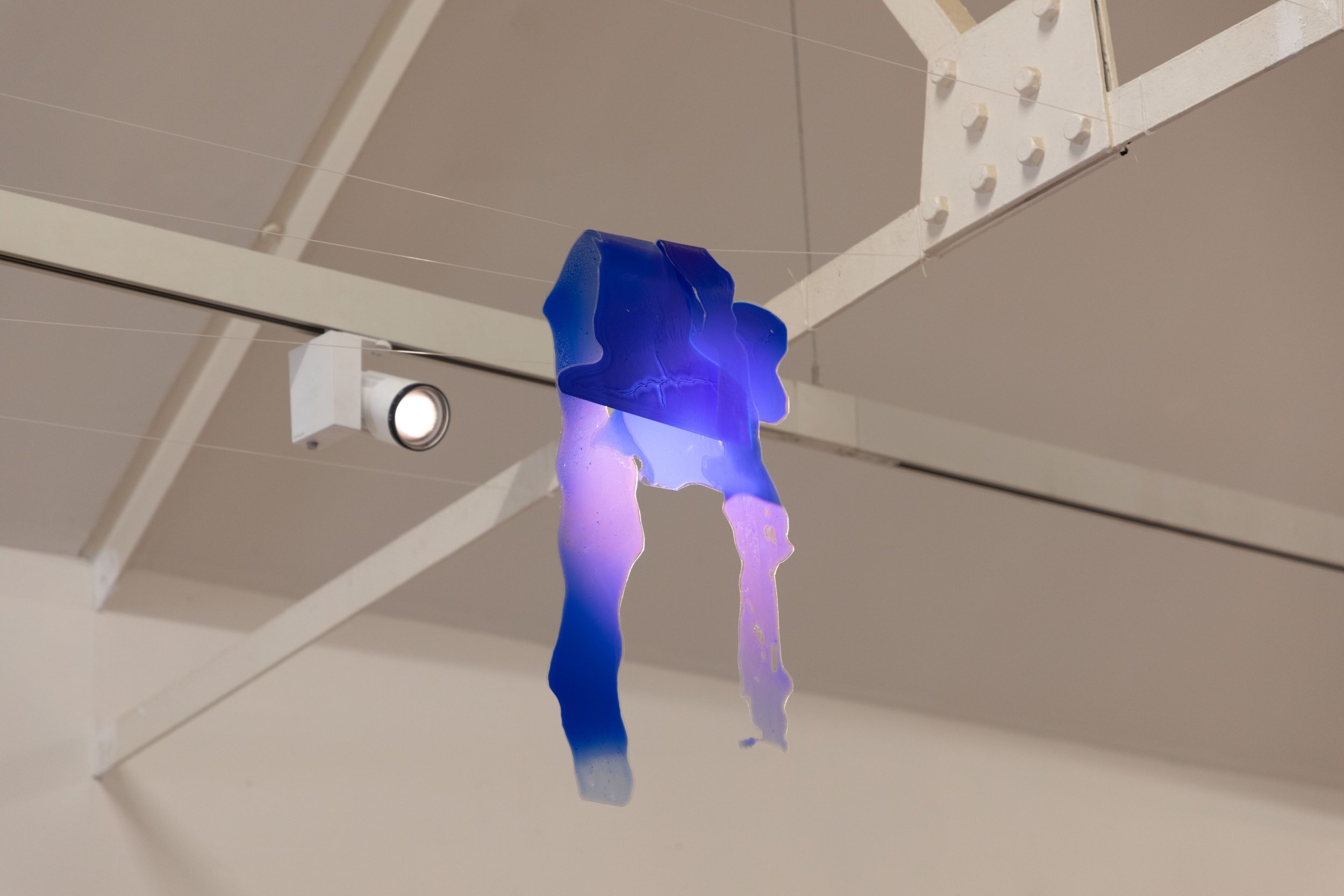 hanging blue (shoes).jpeg