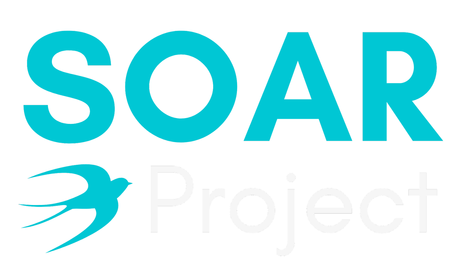 Soar Project