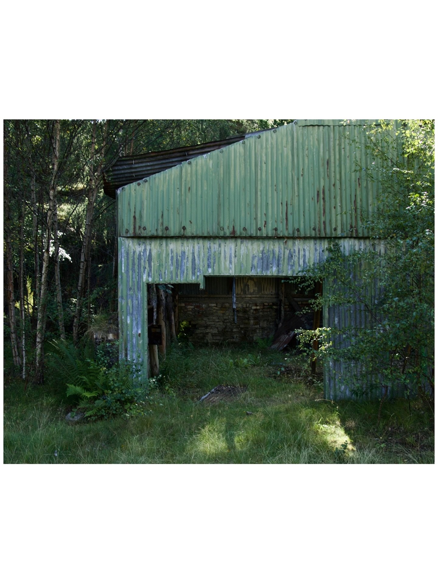 Abandoned mine, North Pennines, summer 2025