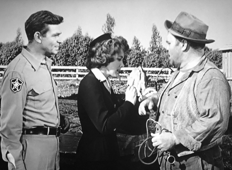The County Nurse