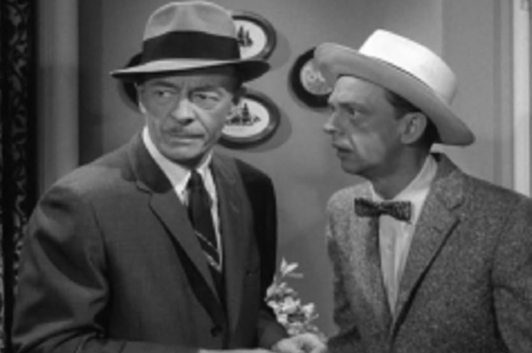 Andy and Barney in the Big City
