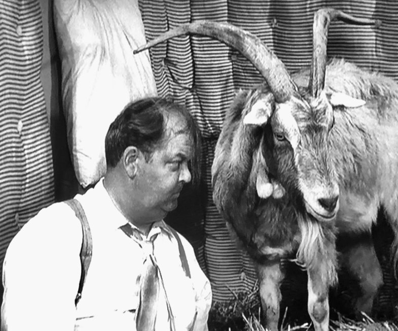 The Loaded Goat