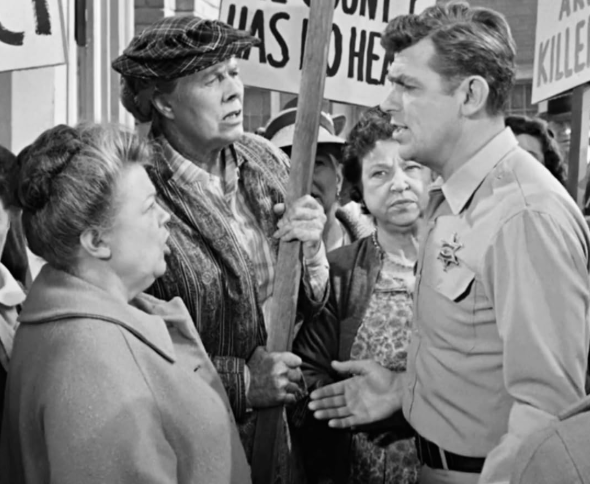 Aunt Bee the Crusader