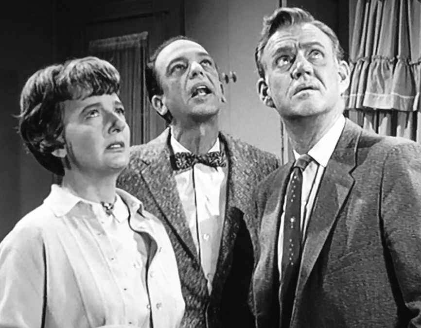 Barney Fife, Realtor