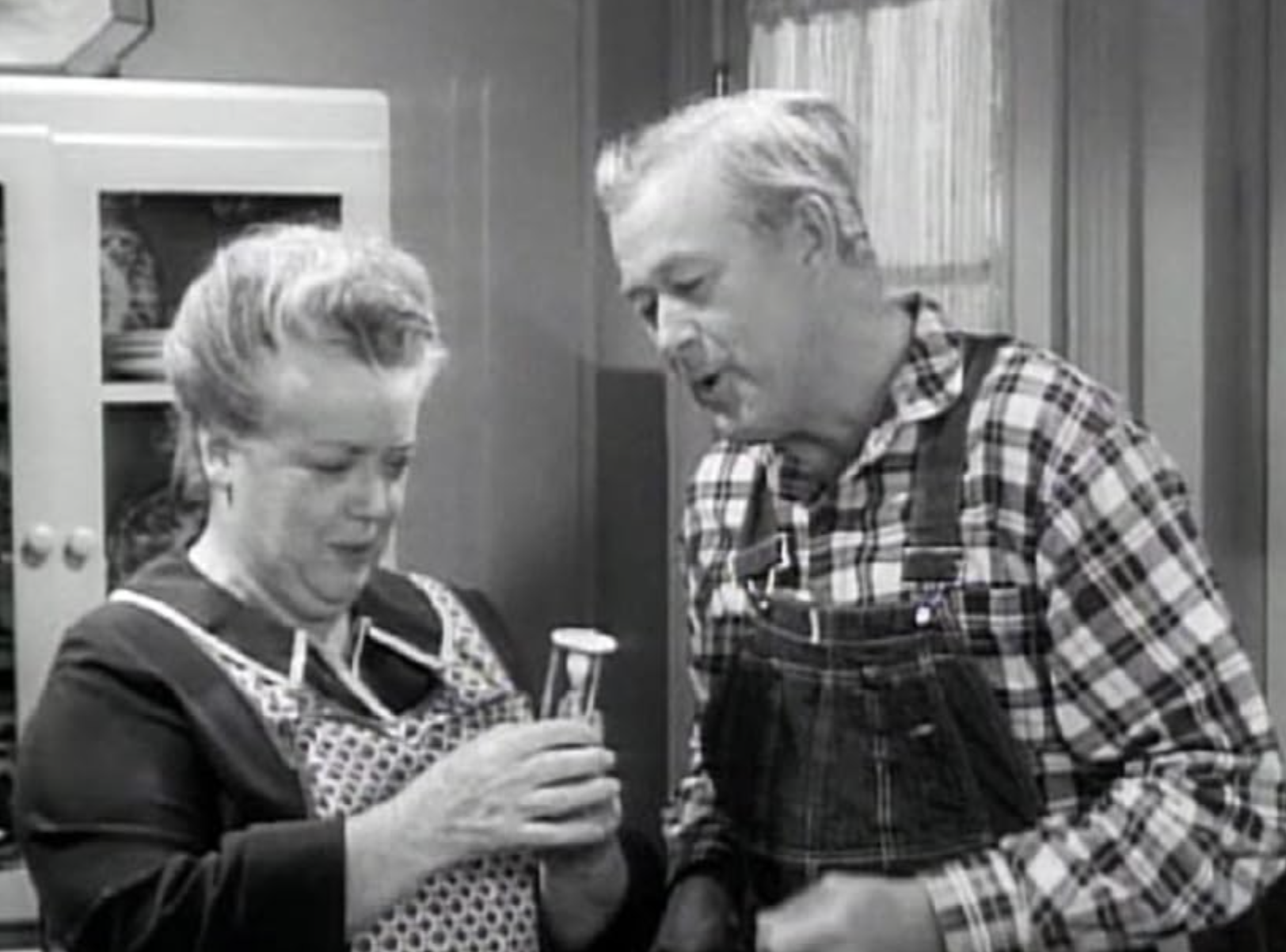 Aunt Bee's Invisible Beau