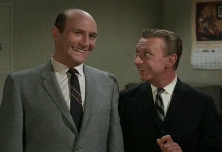 Aunt Bee takes a Job