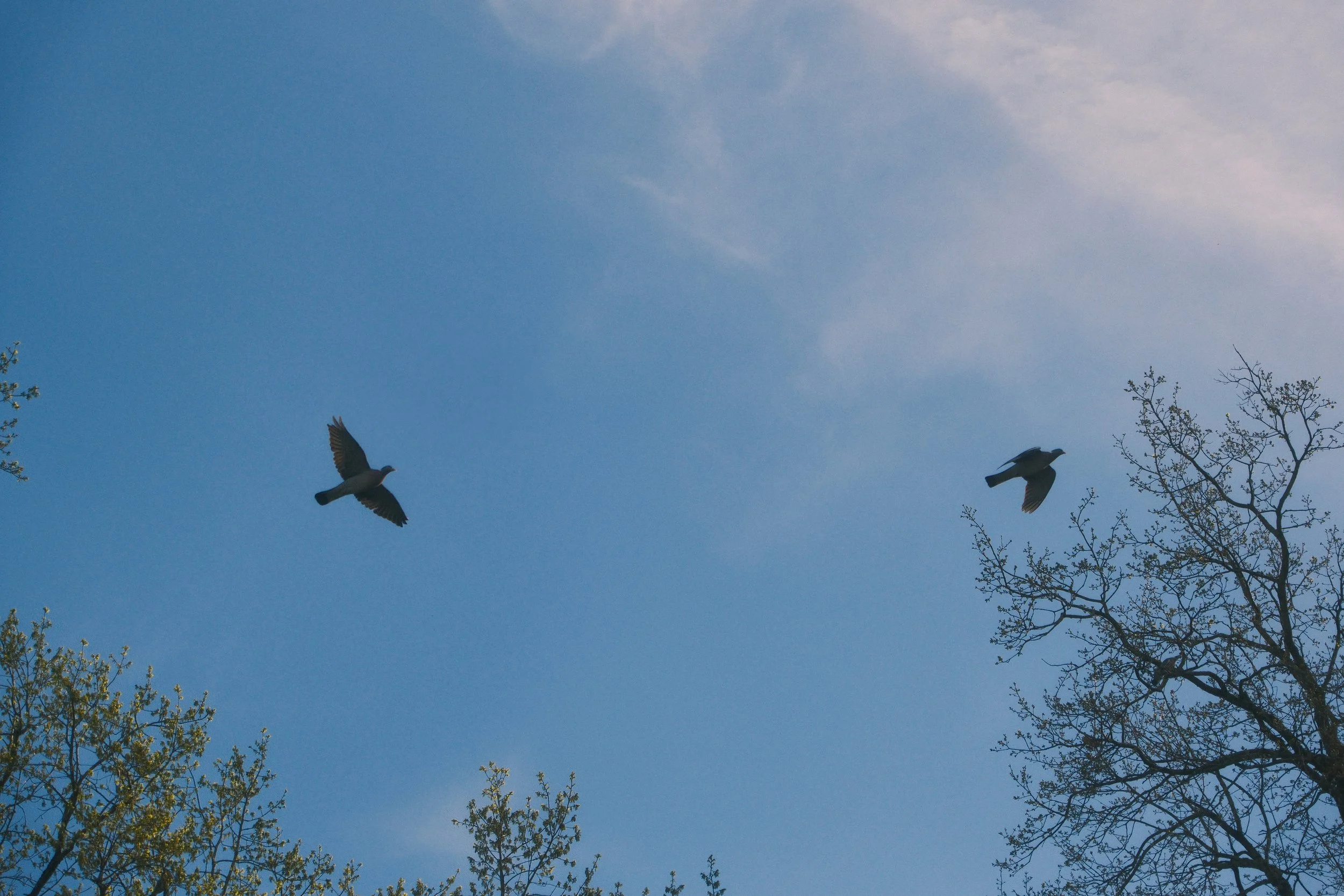 DSCF3105.jpg