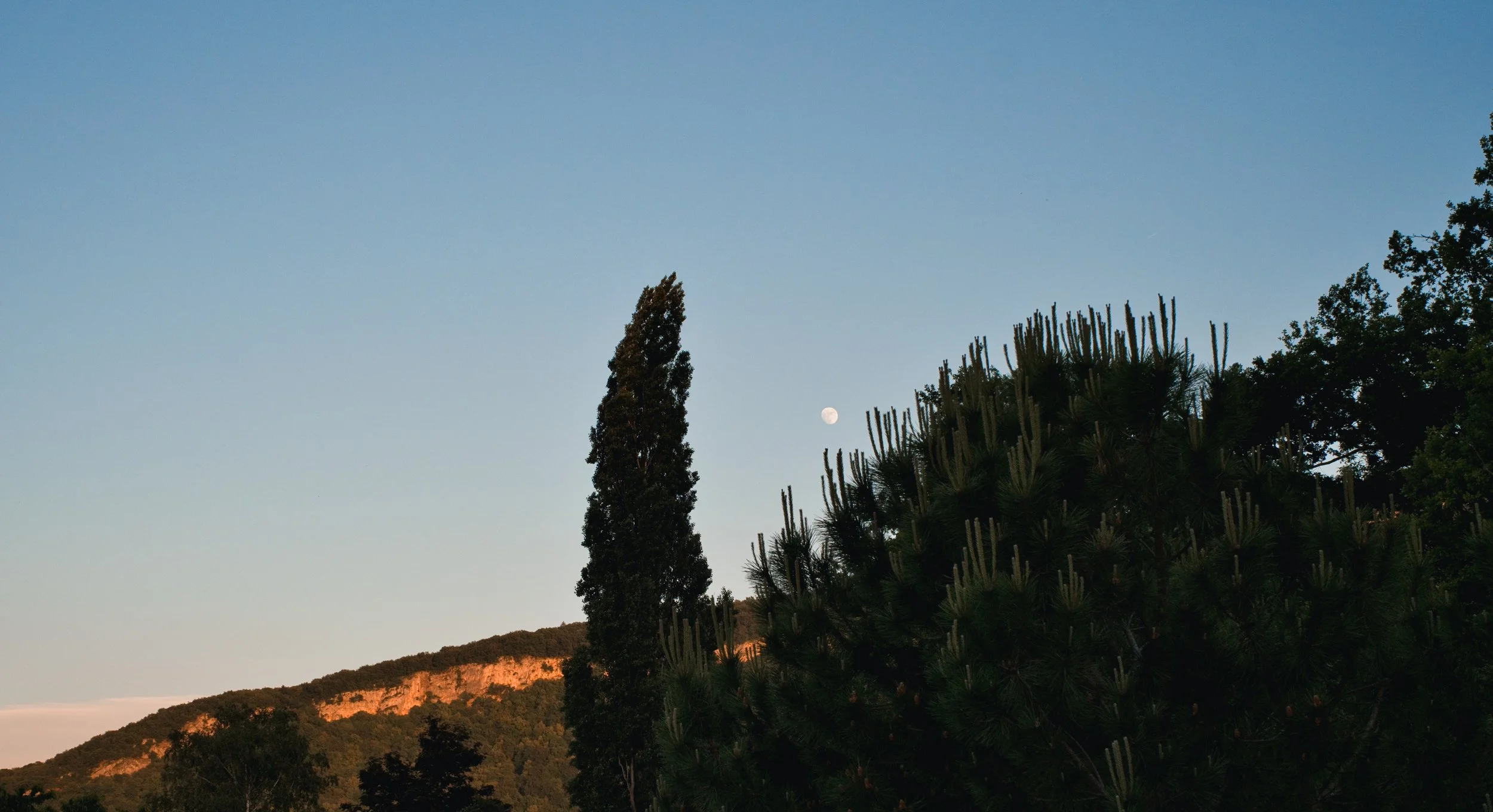 DSCF4693.jpg