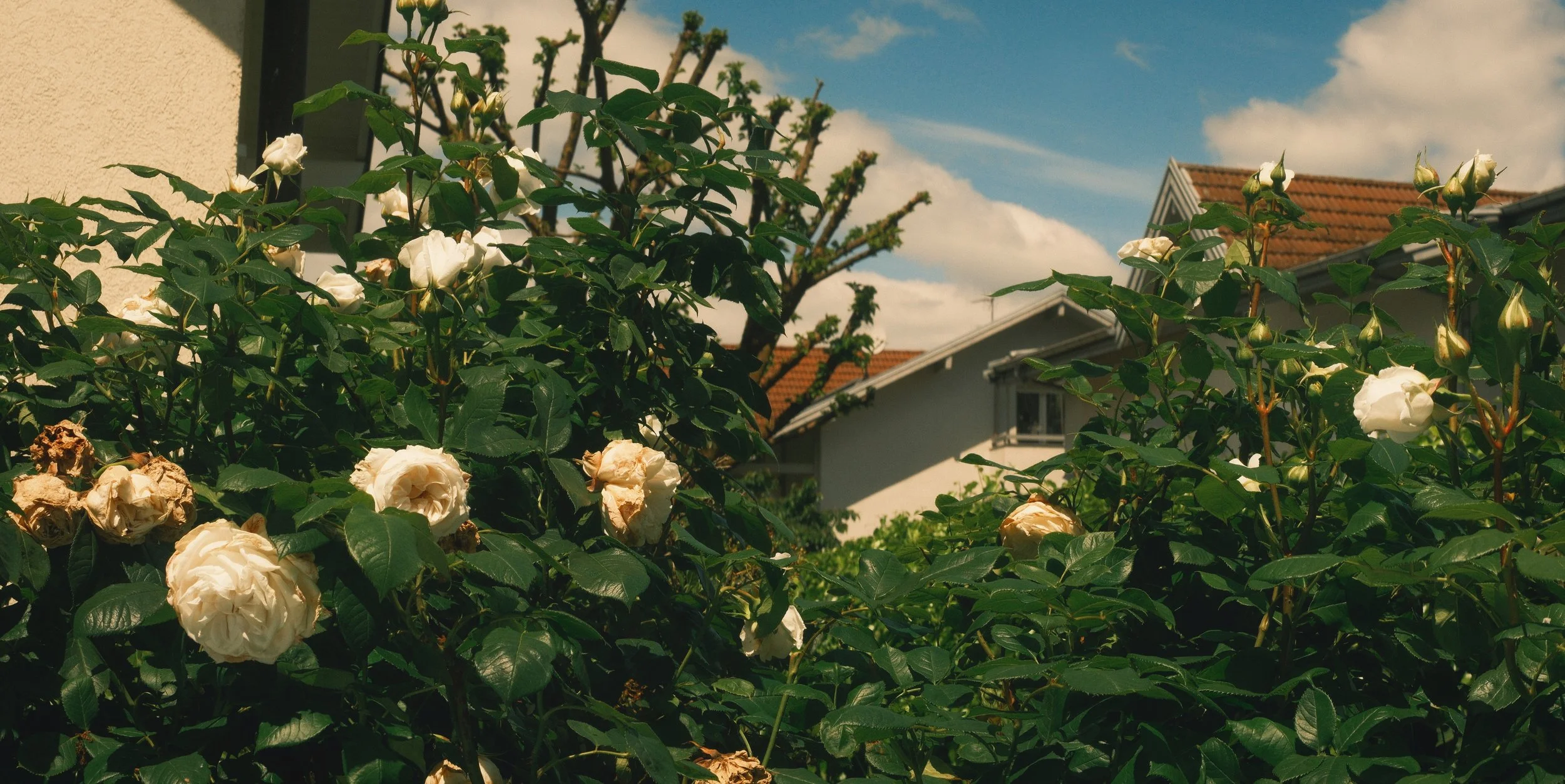DSCF4370.jpg