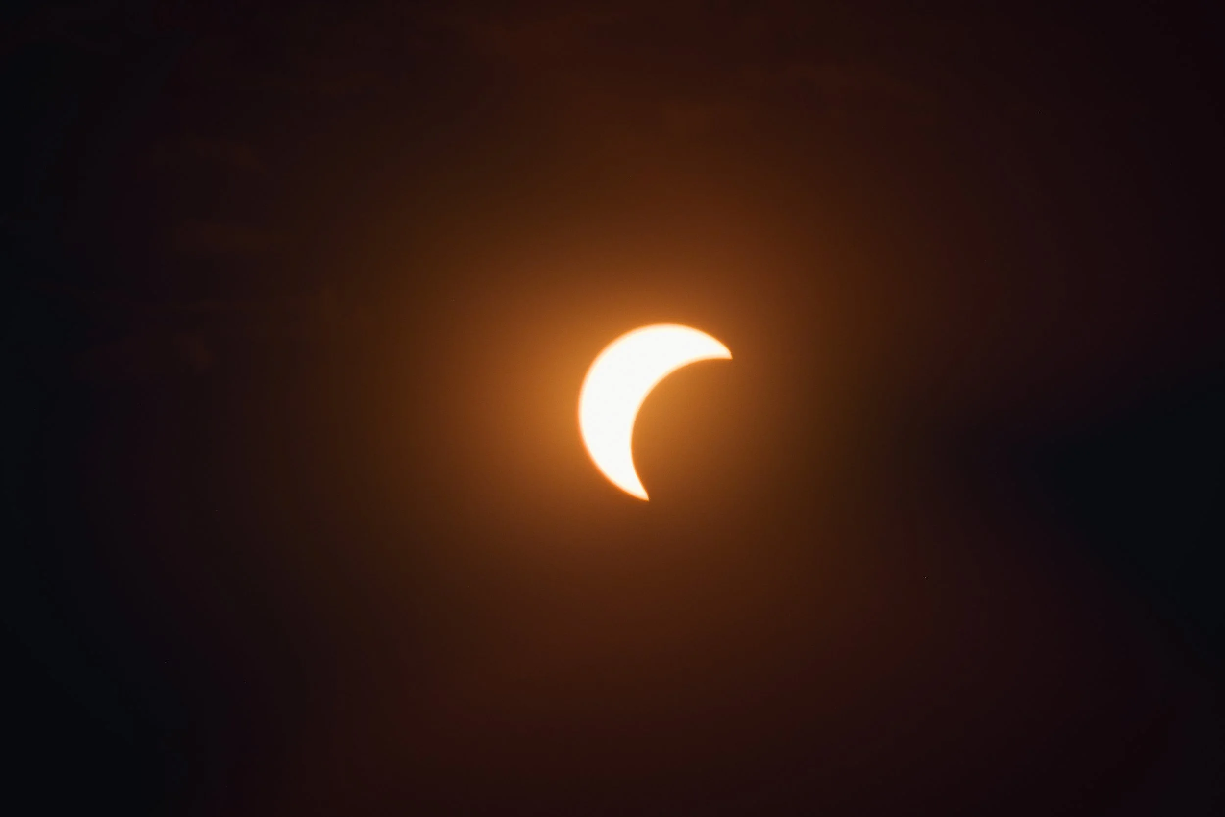 DSCF5297.jpg