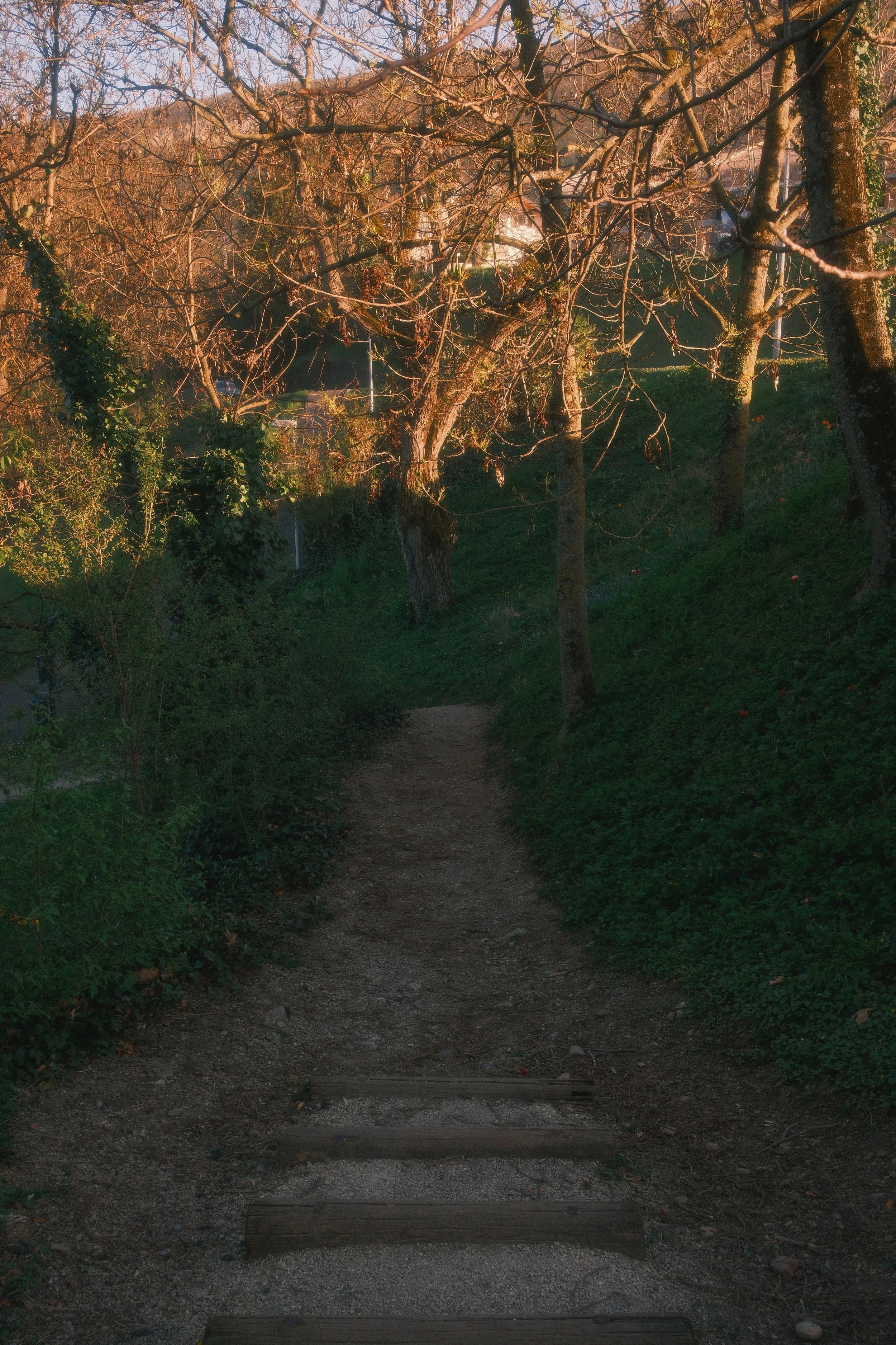 DSCF3228.jpg