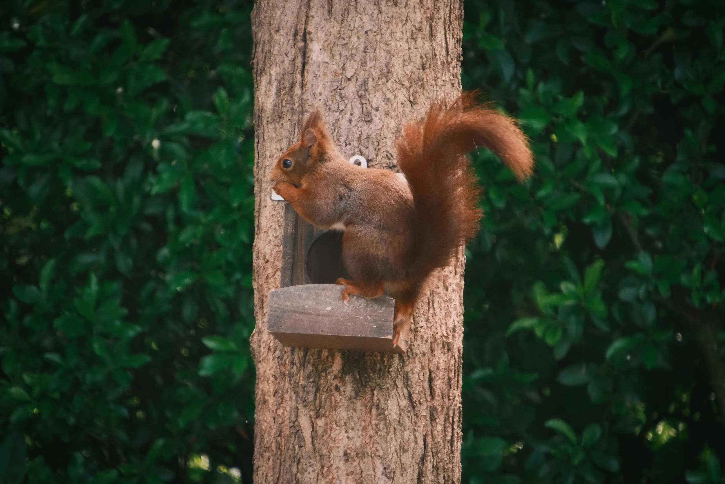 DSCF3618.jpg