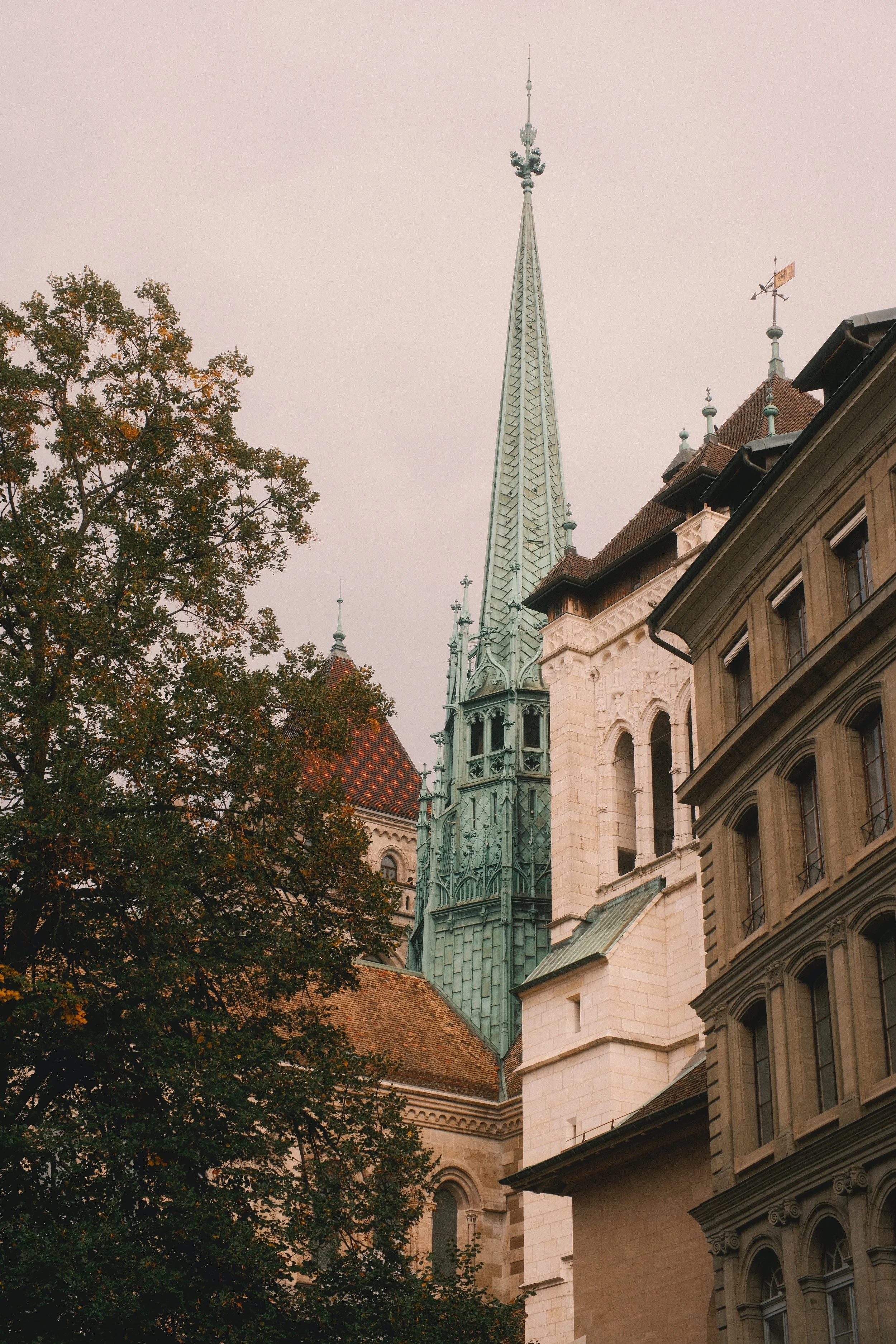 DSCF0675.jpg