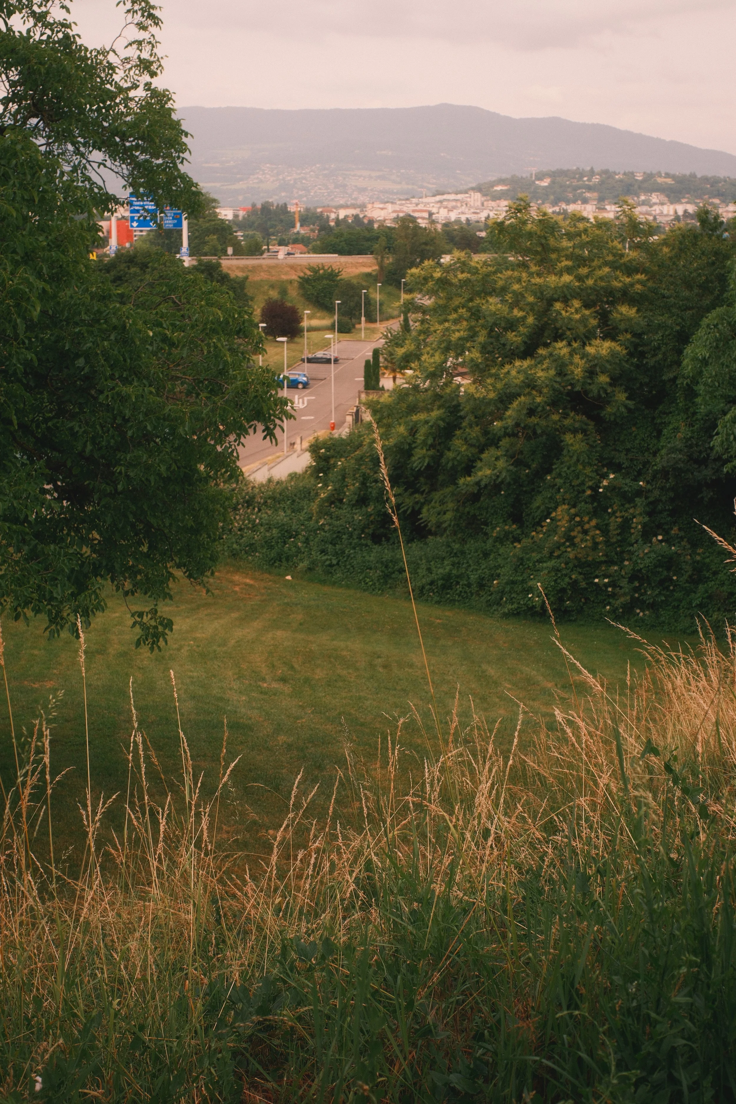 DSCF4762.jpg