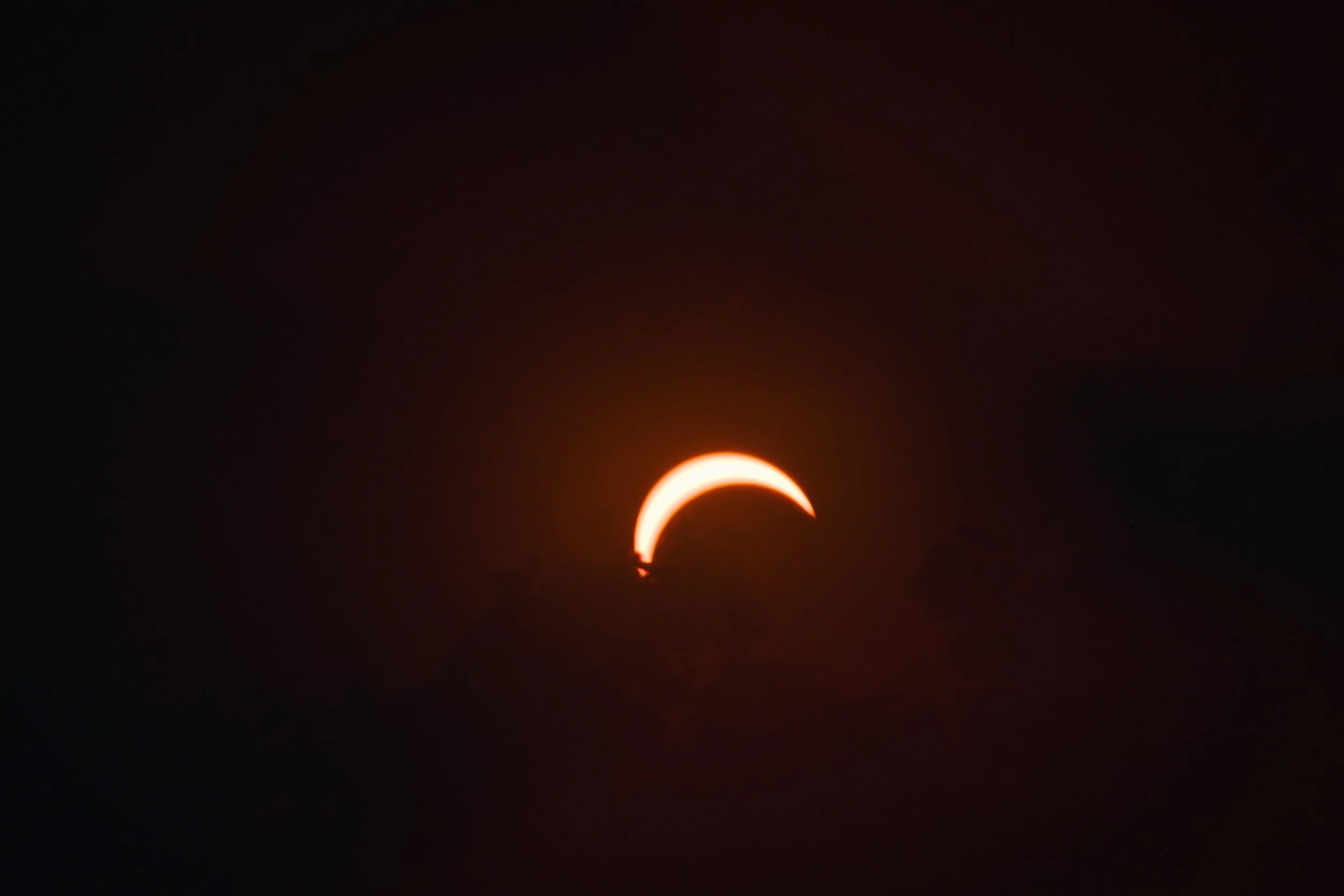 DSCF5307.jpg