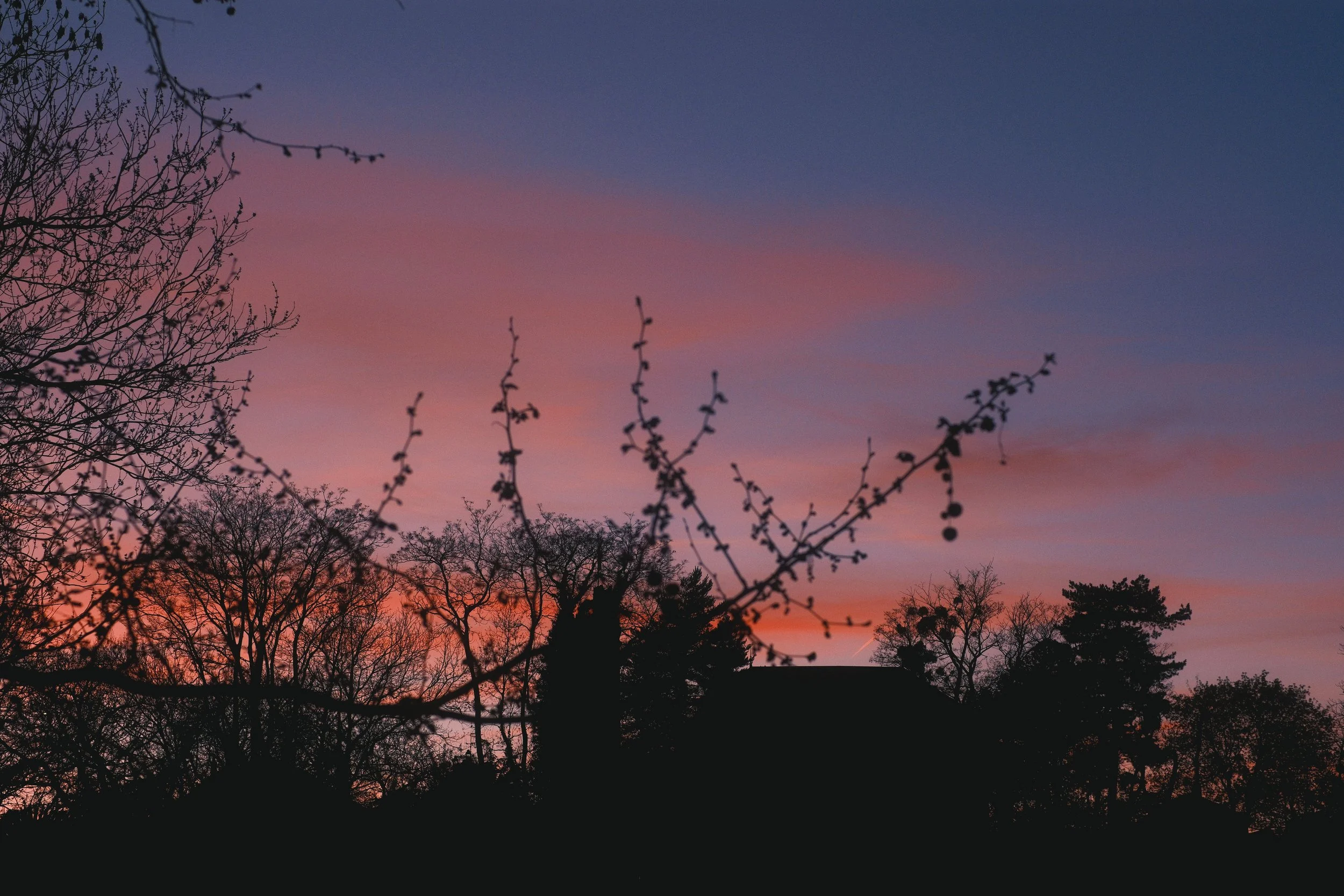 DSCF3115.jpg