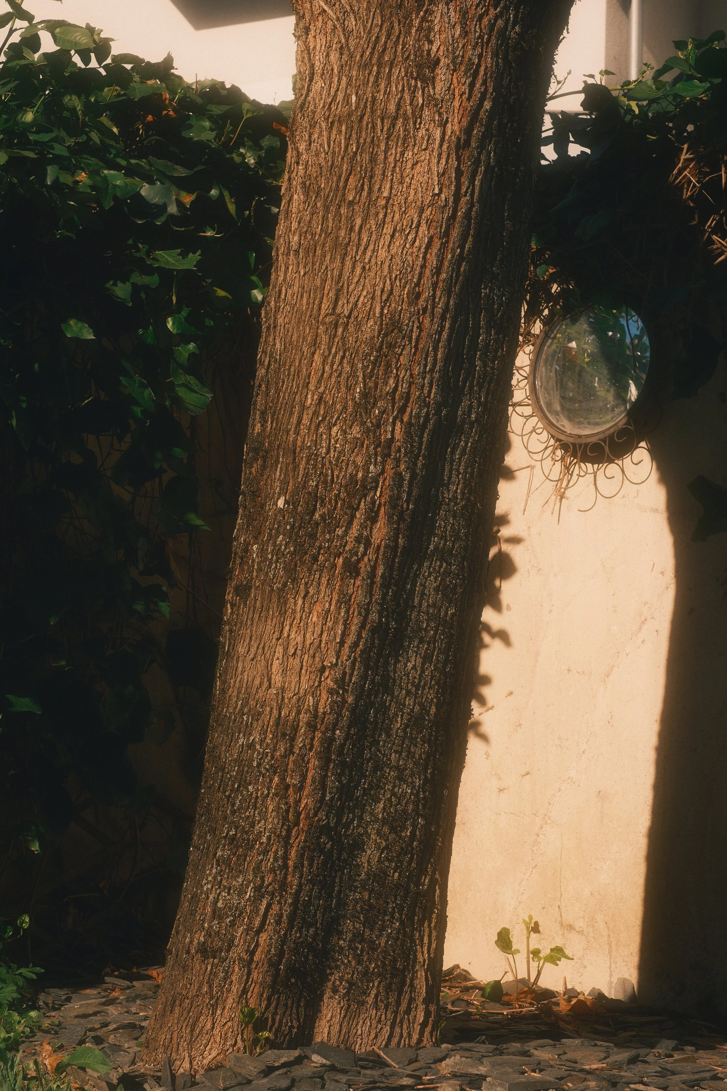 DSCF3959.jpg