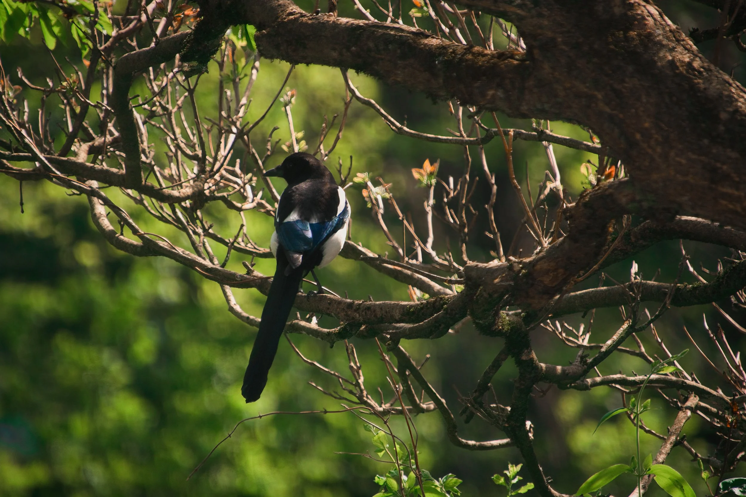 DSCF3633.jpg