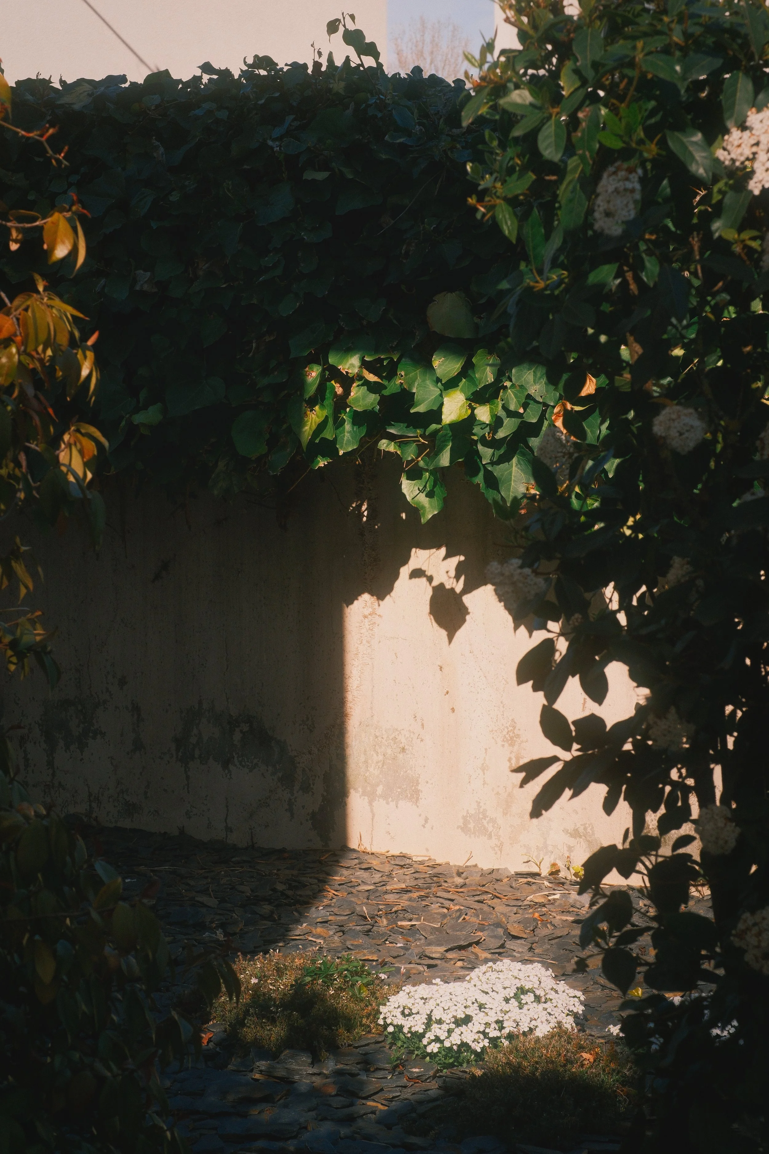 DSCF2893.jpg
