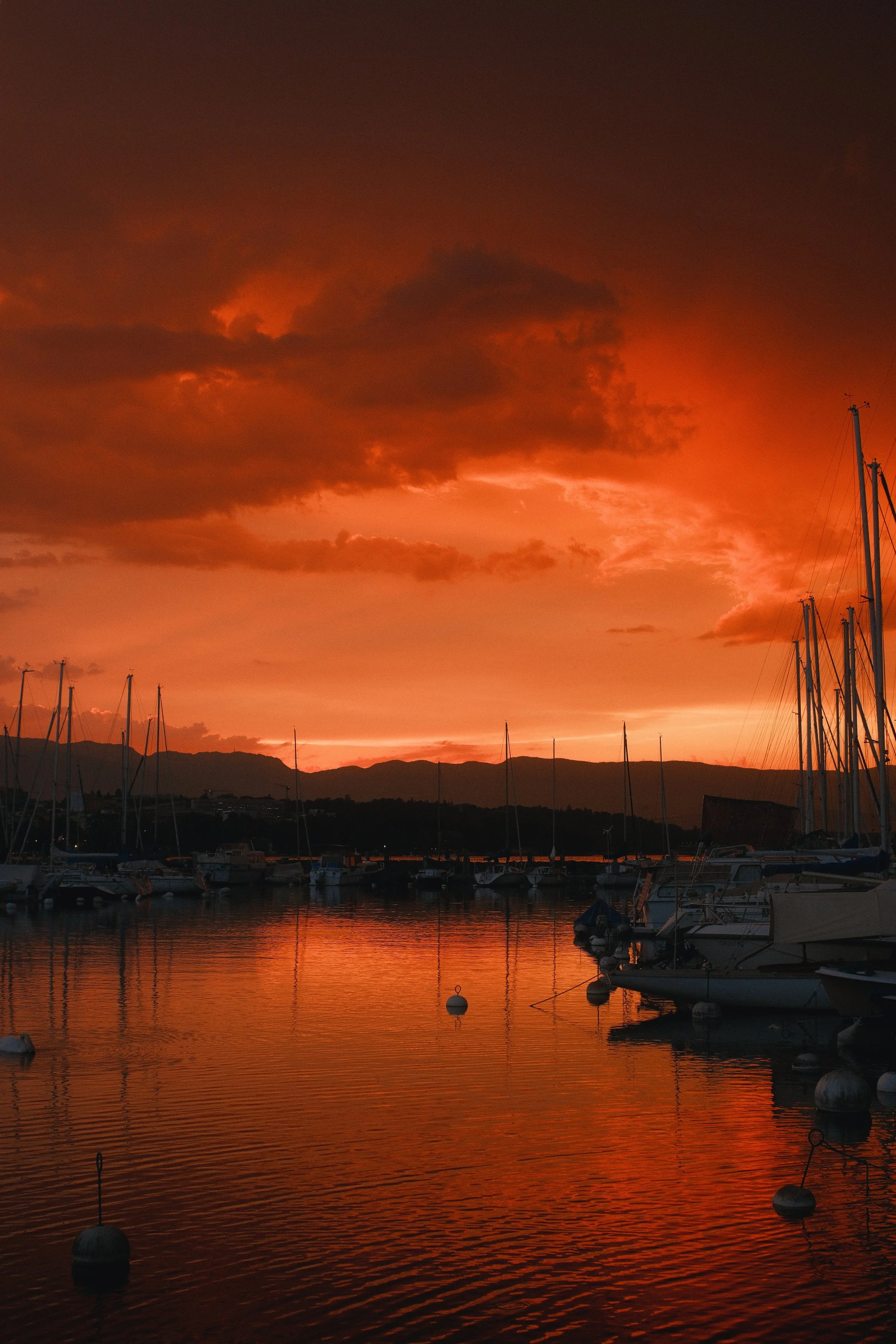 DSCF5186.jpg