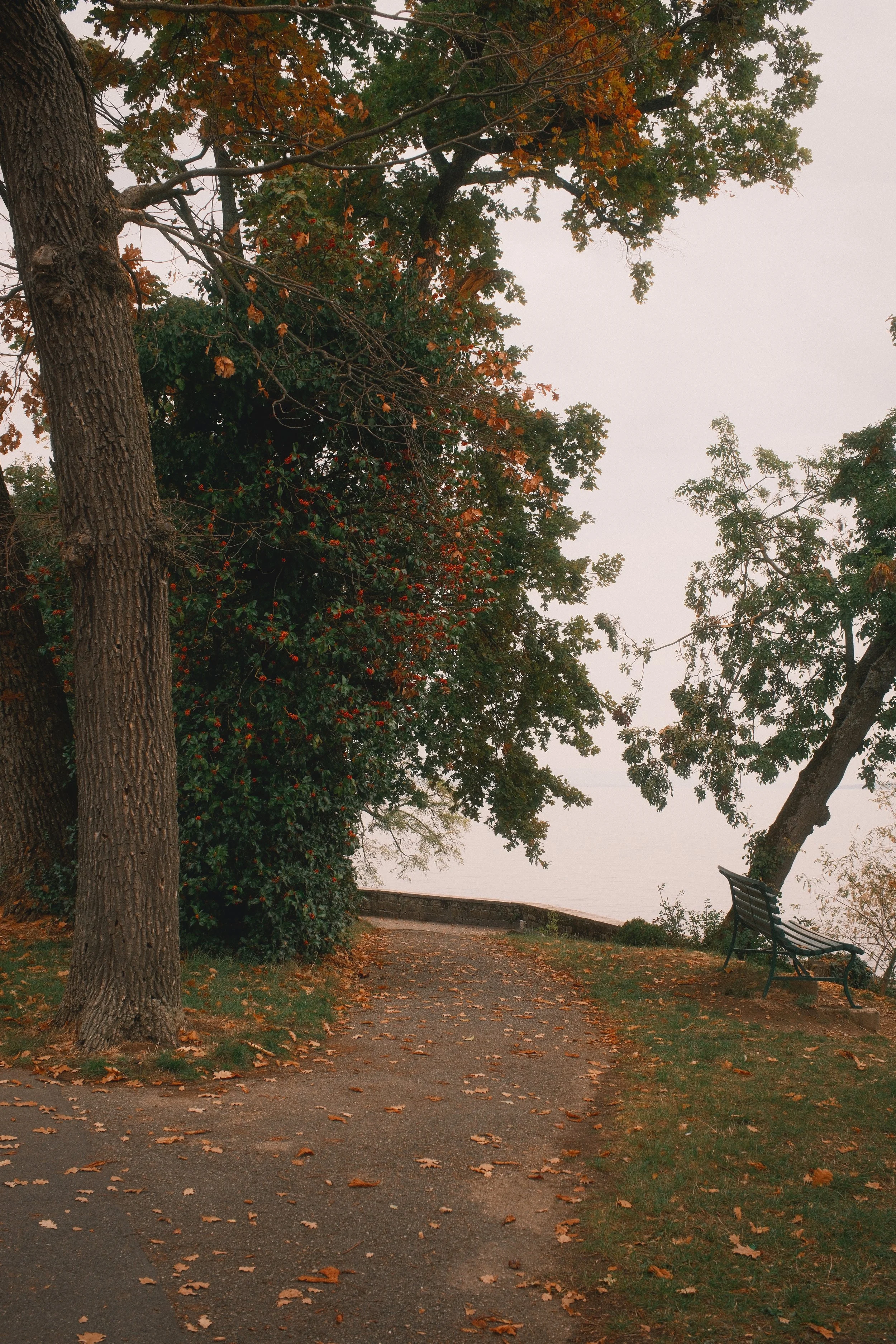 DSCF0847.jpg