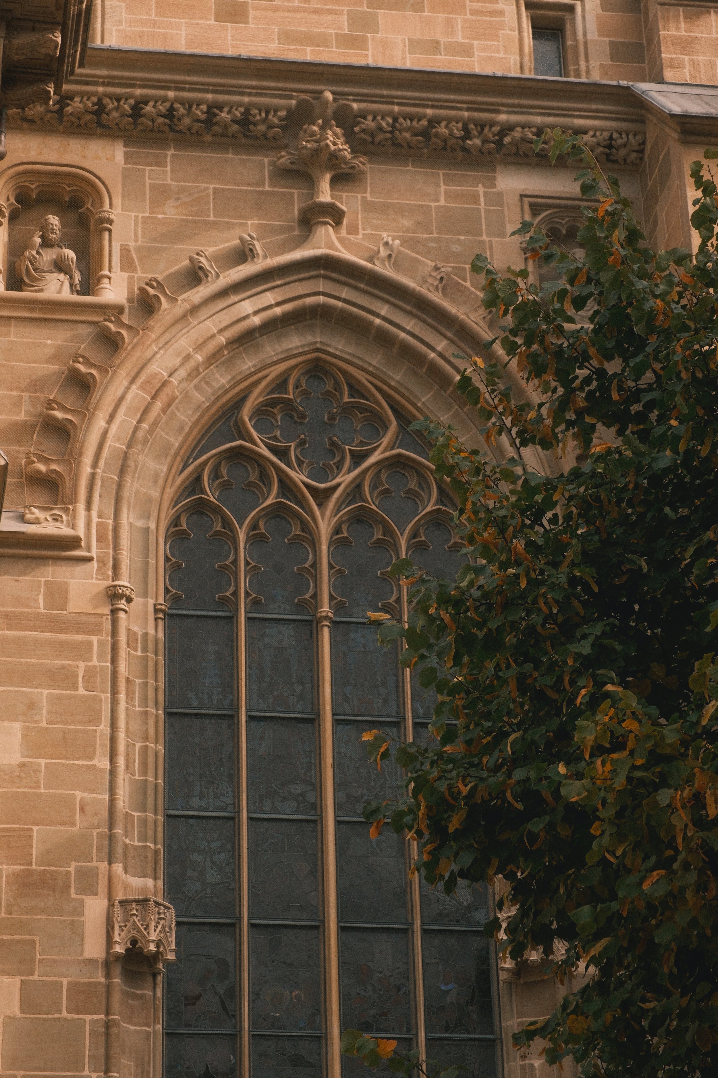 DSCF0698.jpg
