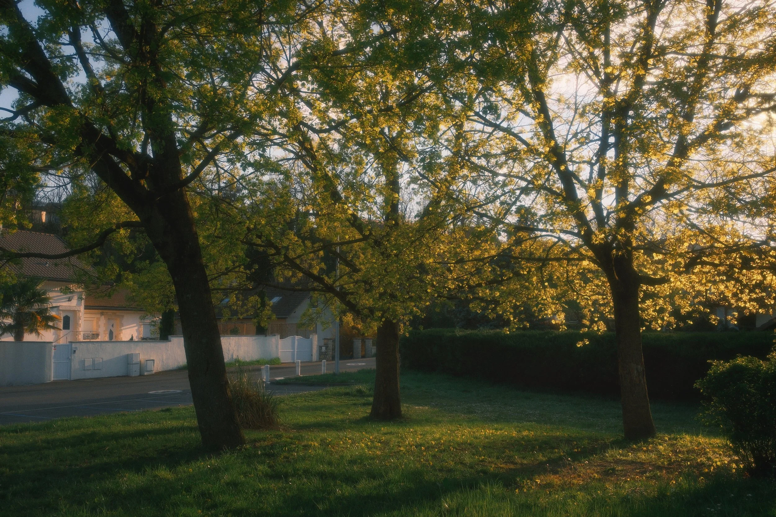 DSCF3240.jpg
