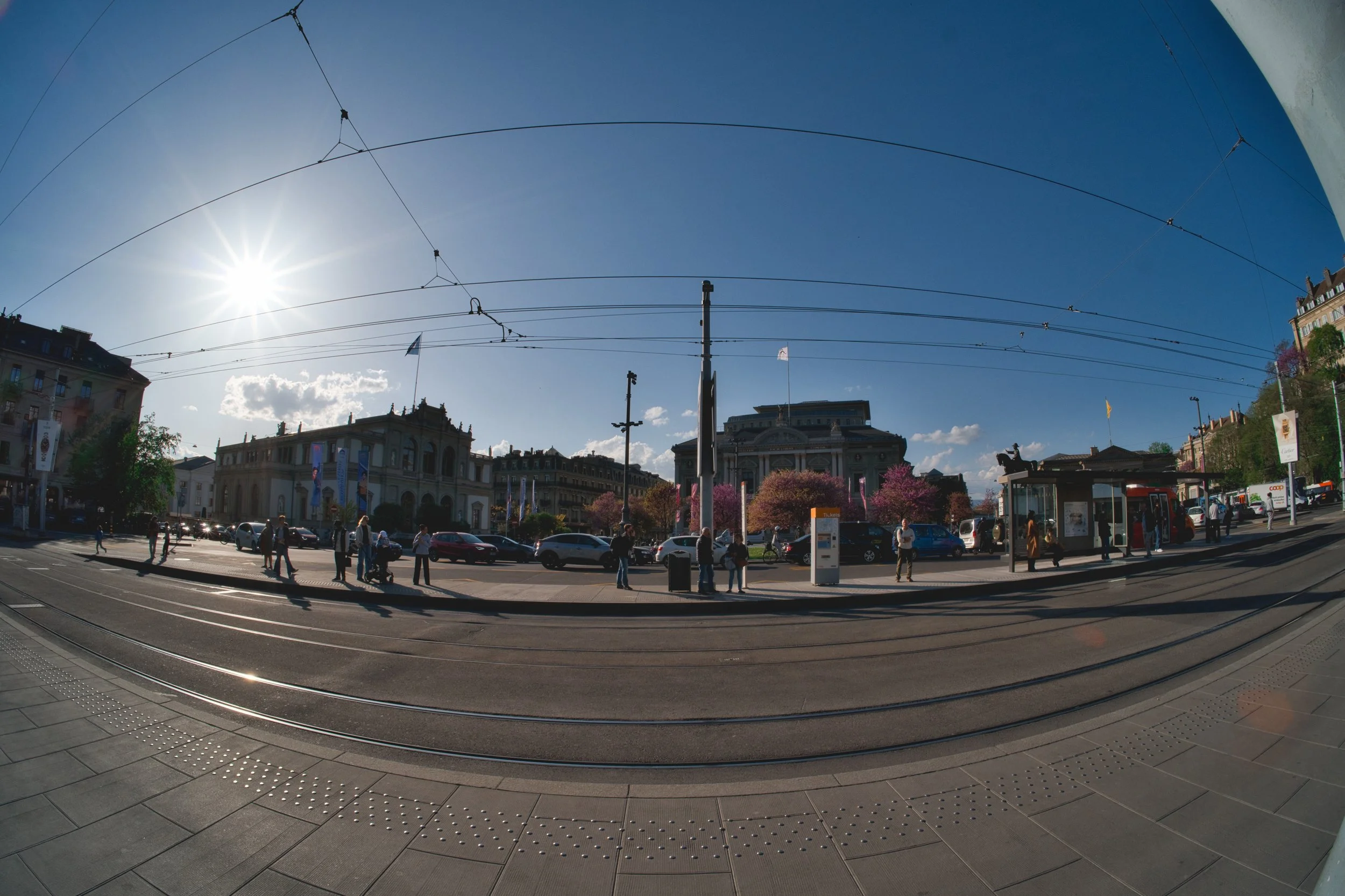 DSCF3798.jpg