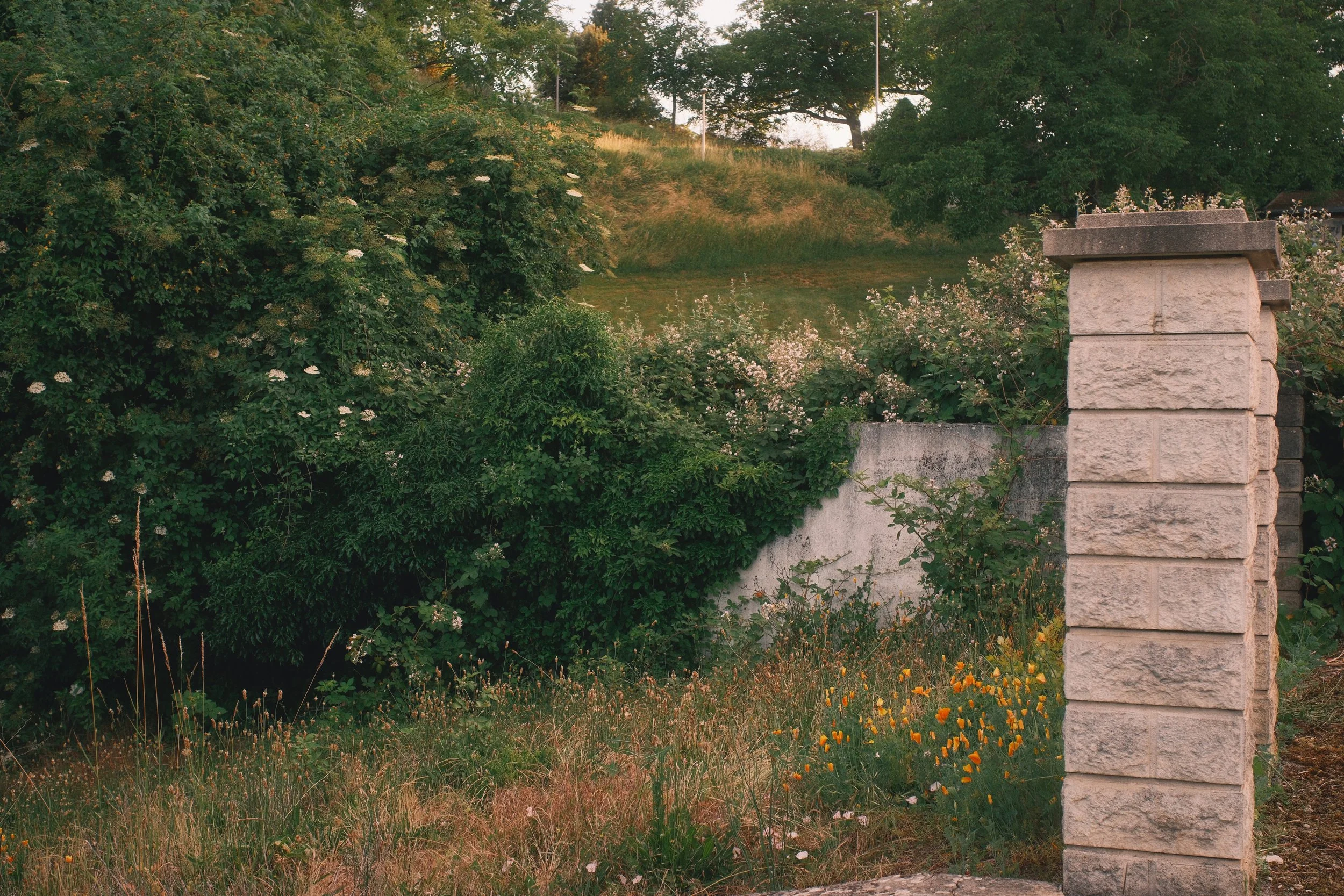 DSCF4729.jpg