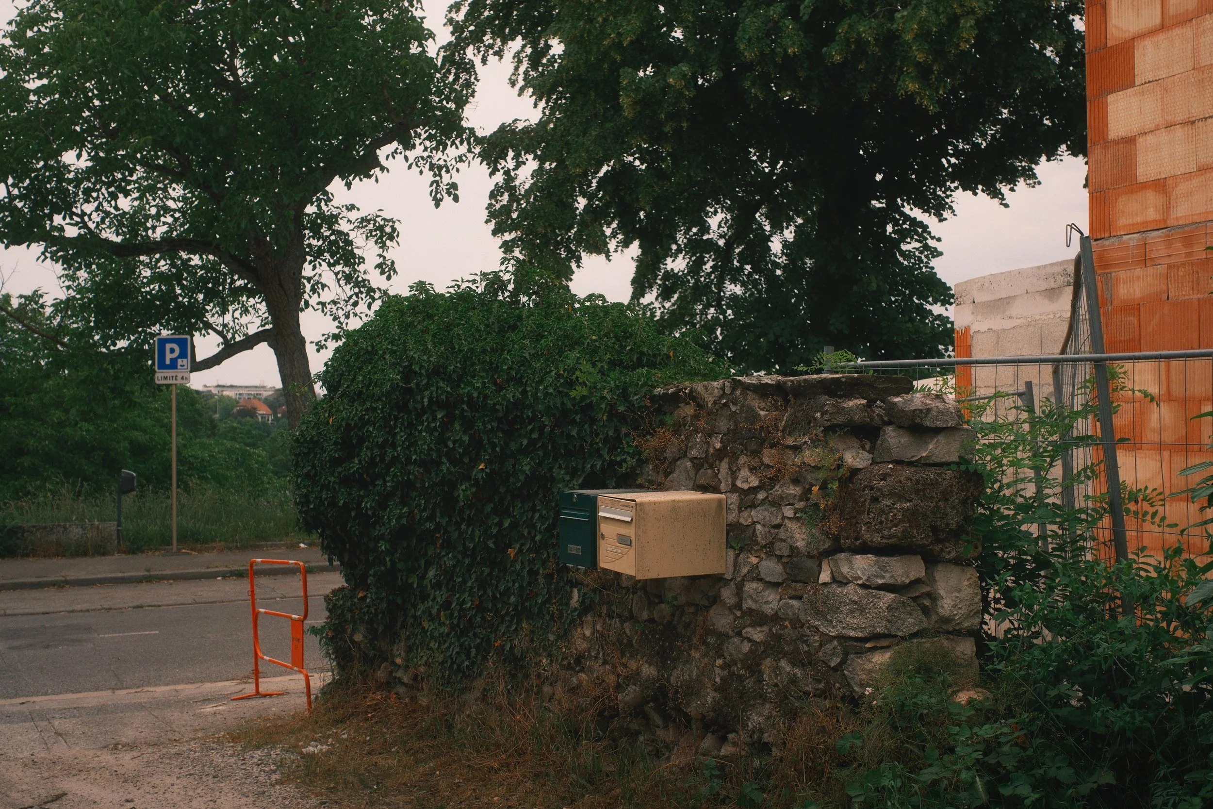 DSCF4777.jpg
