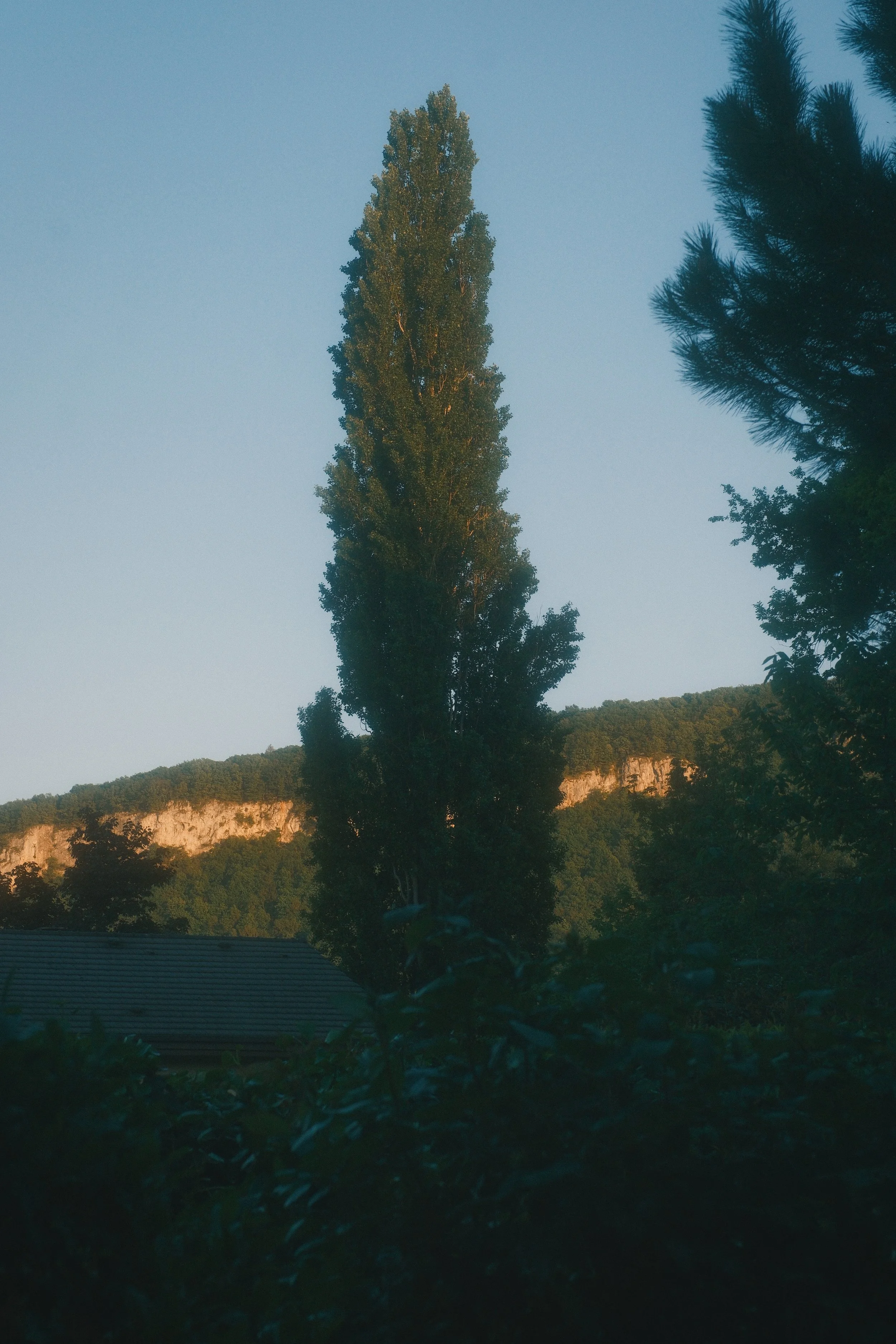 DSCF4042.jpg