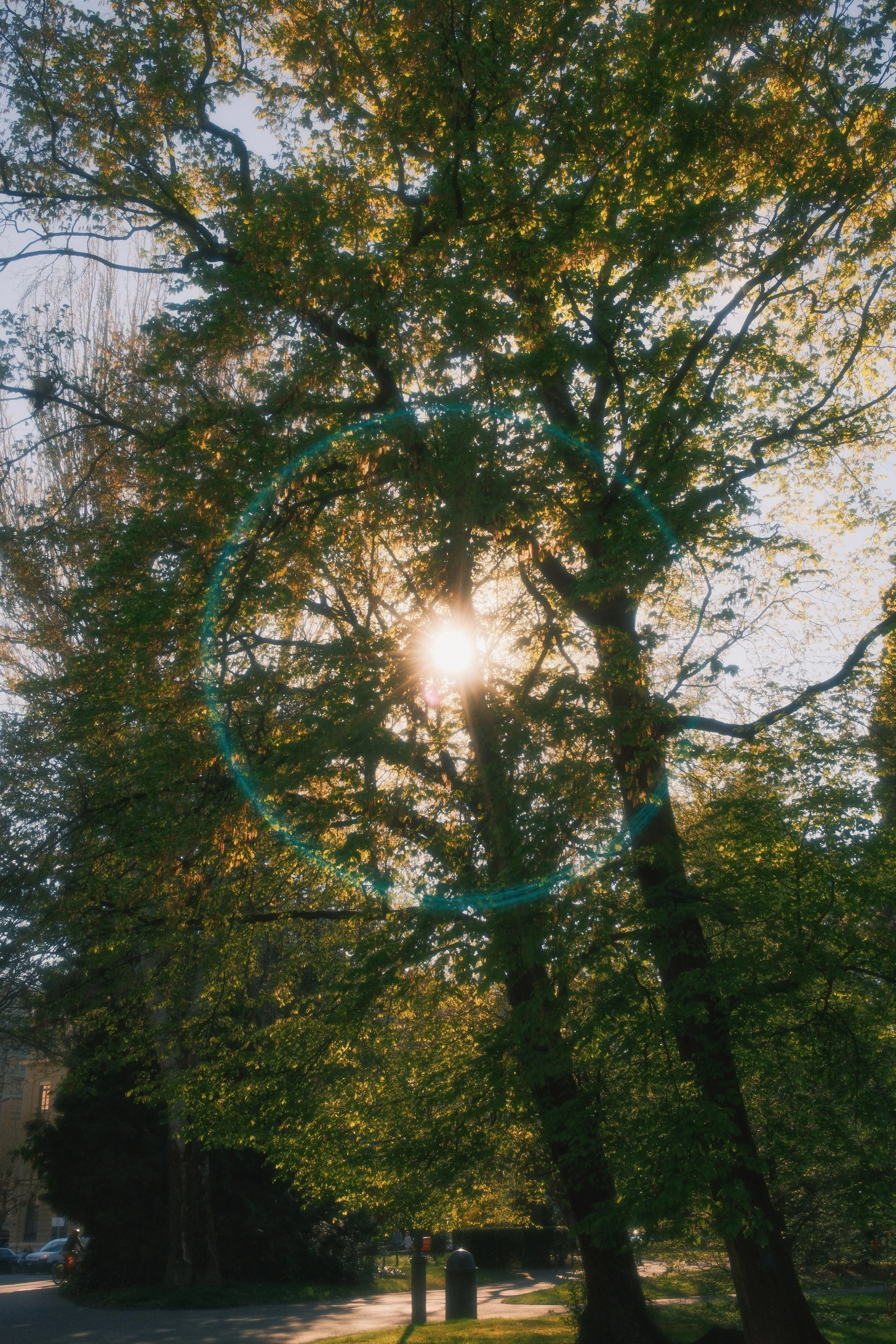 DSCF3181.jpg